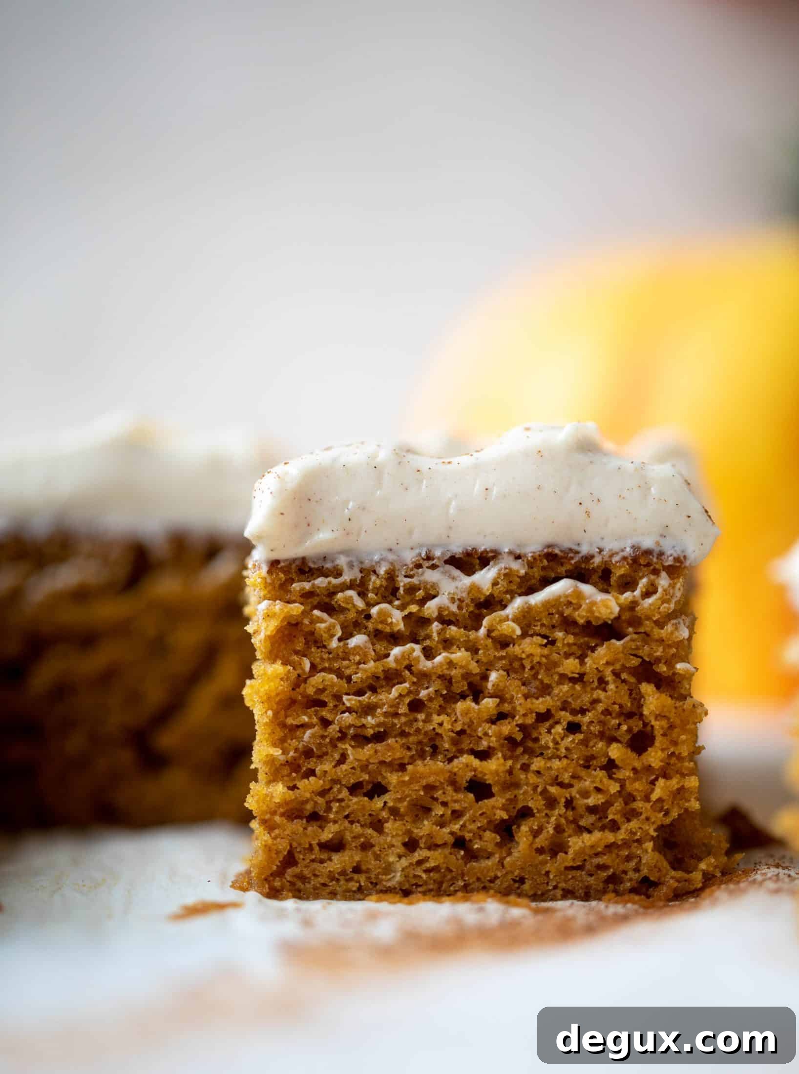 This pumpkin sheet cake is a legit pumpkin dream cake! It's so moist and fluffy and flavorful. With a blanket of cinnamon cream cheese frosting!