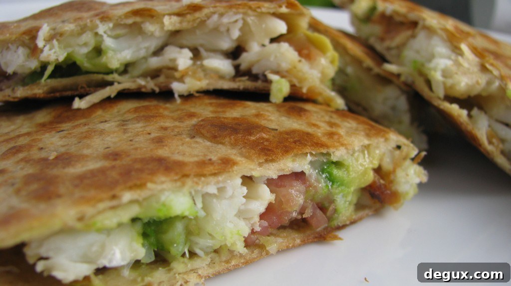 IMG_4722 Finished quesadilla