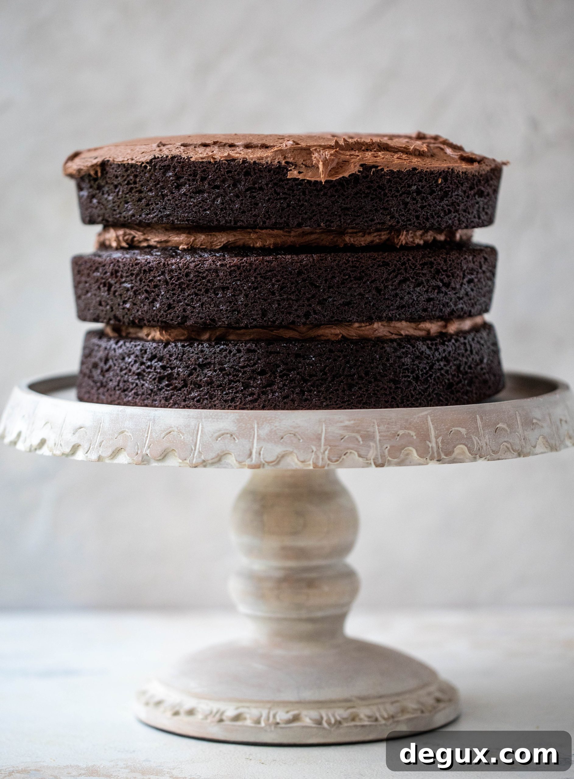 Hot Cocoa Cake with Whipped Marshmallow Frosting 3 layered frosted chocolate cake
