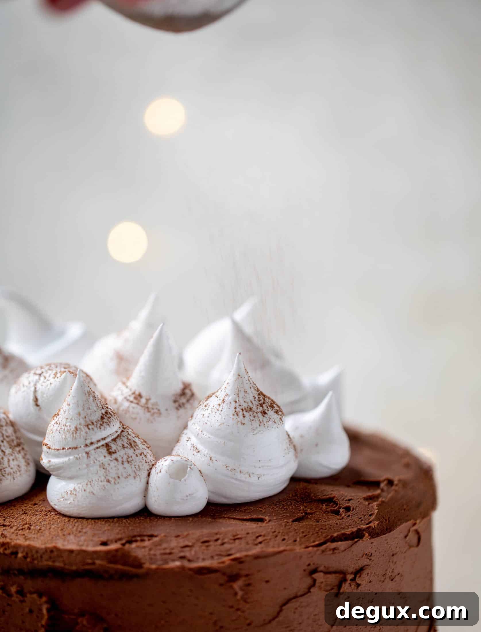 Hot Cocoa Cake with Whipped Marshmallow Frosting 6 This hot cocoa cake is made with the fudgiest chocolate cake, smothered in chocolate cream cheese frosting and dolloped with whipped marshmallow!