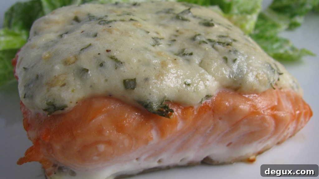 Asiago salmon close-up