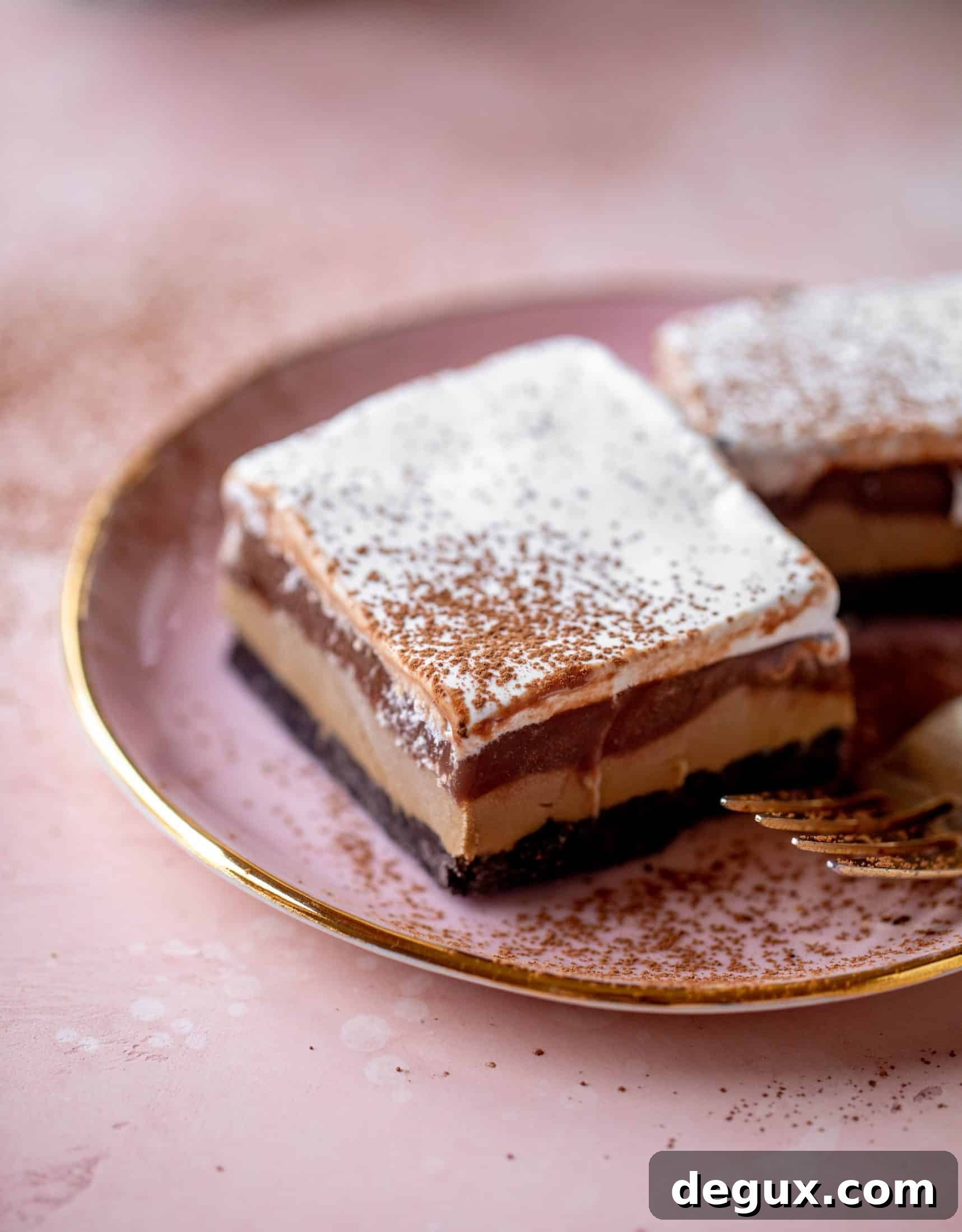 This frozen chocolate cookie dessert is a twist on the classic 90s recipe! Cookie crust, ice cream, homemade hot fudge and whipped cream. It's amazing!