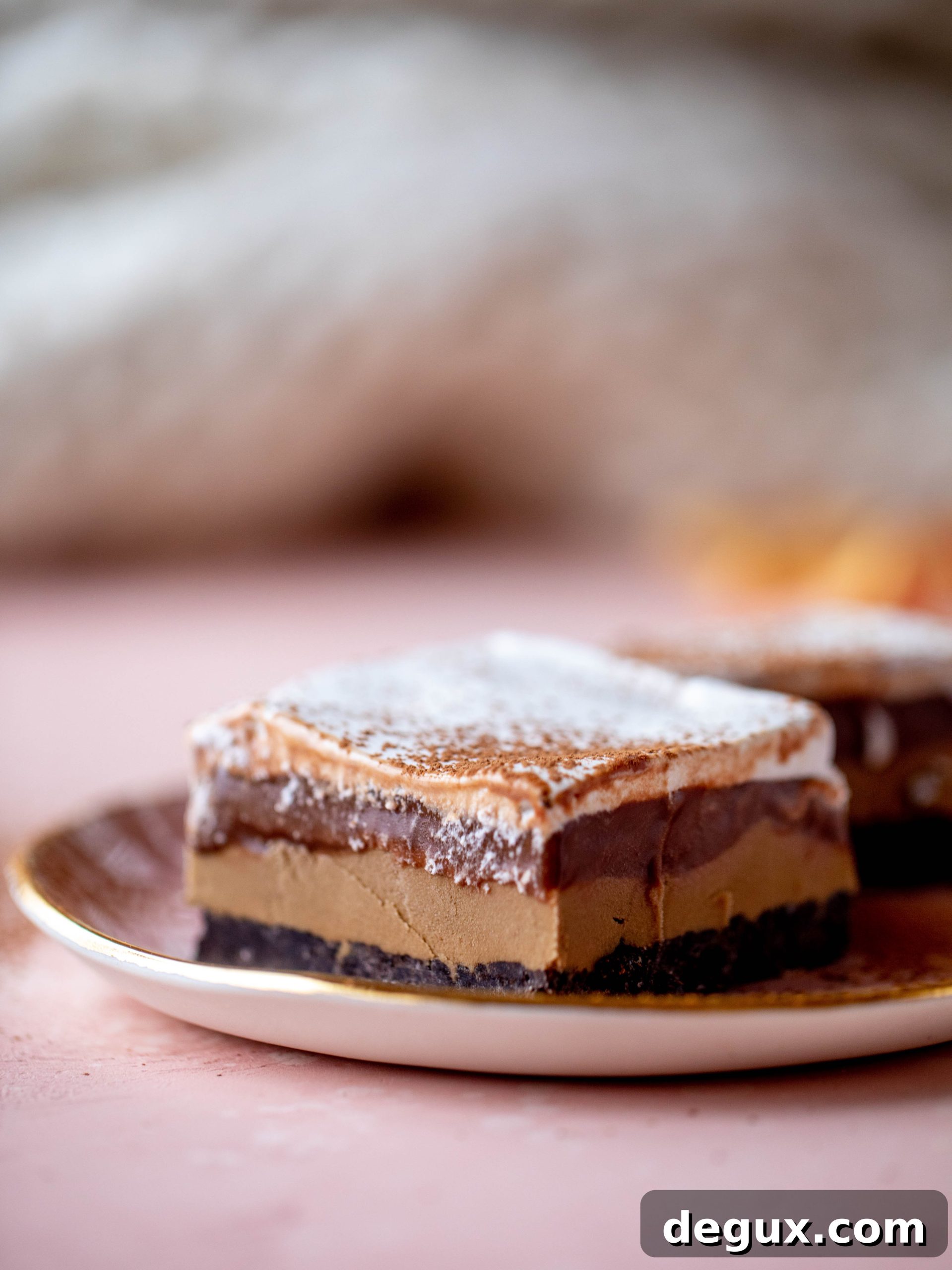 This frozen chocolate cookie dessert is a twist on the classic 90s recipe! Cookie crust, ice cream, homemade hot fudge and whipped cream. It's amazing!