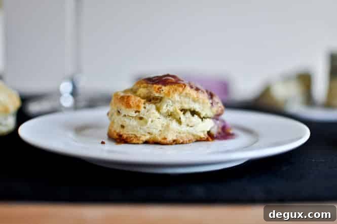 25 Delicious Recipes to Cook Over the Holiday Break 8 Sharing 25 of my favorite holiday recipes to make over christmas break, from brunch to dinner, cocktails and dessert! So many options.