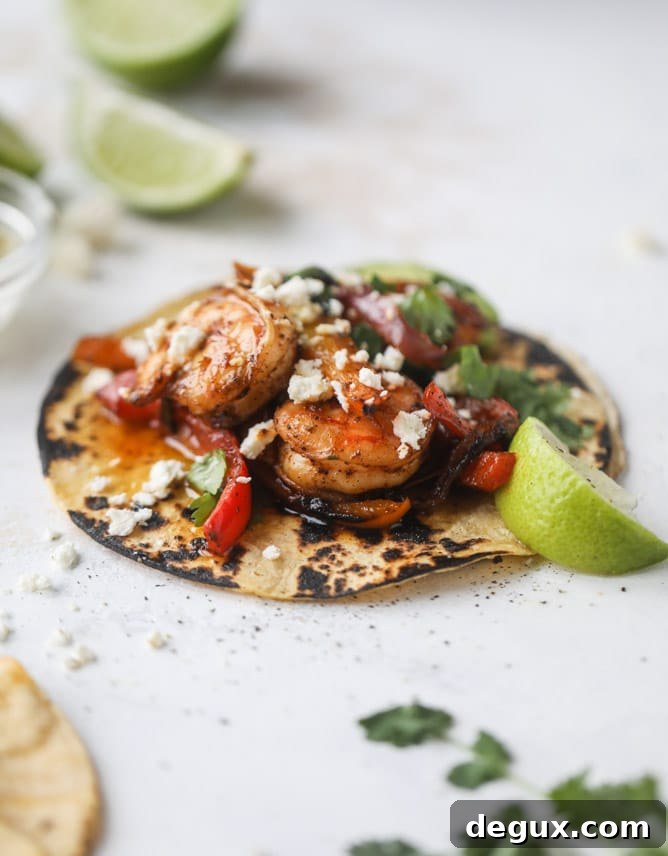 adobo shrimp fajitas + 175 of my favorite weeknight meals