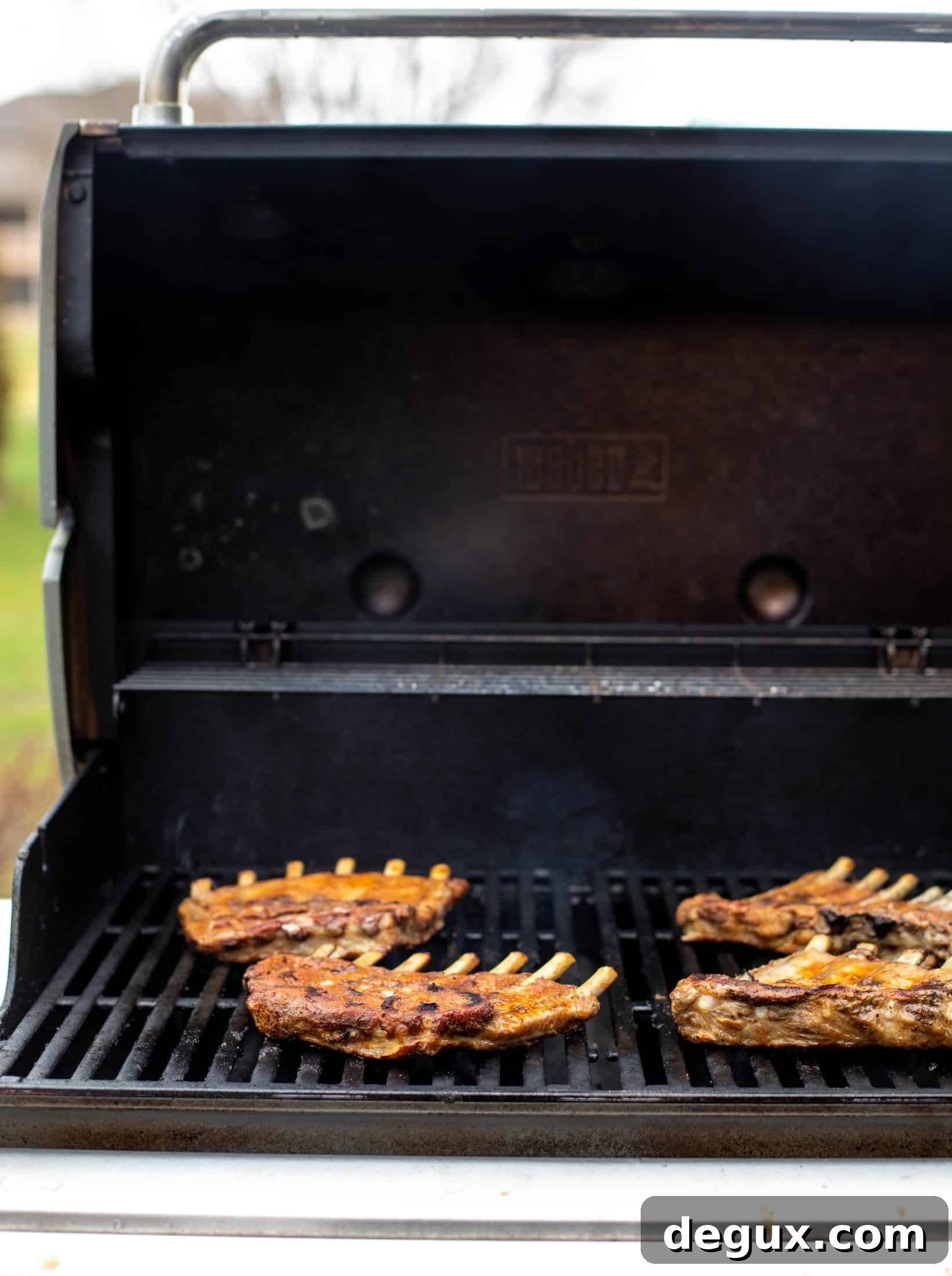 Smoky Blood Orange BBQ Ribs with Avocado Butter Greens 5 ribs on the grill!