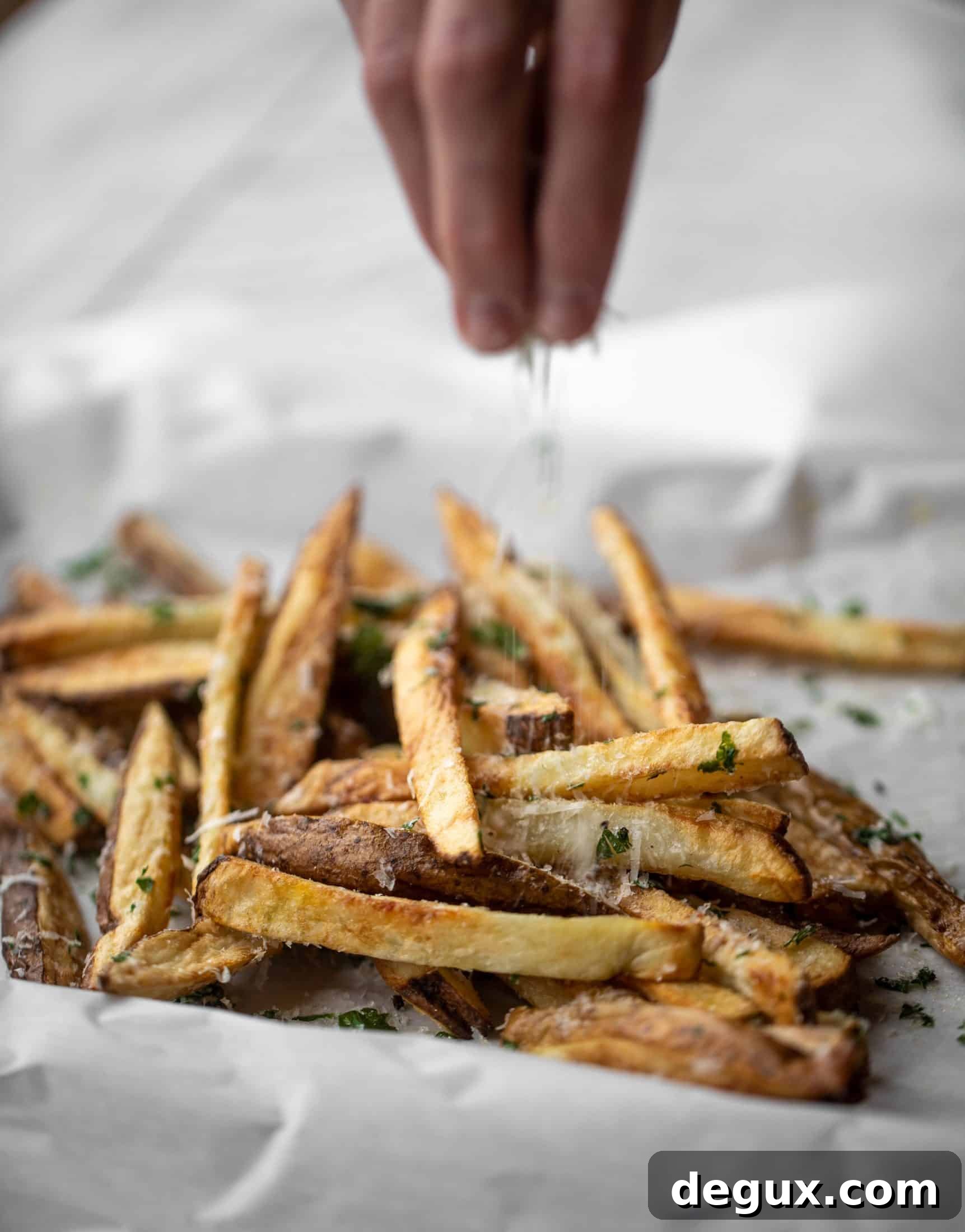 crispy air fryer fries with parmesan herb truffle salt
