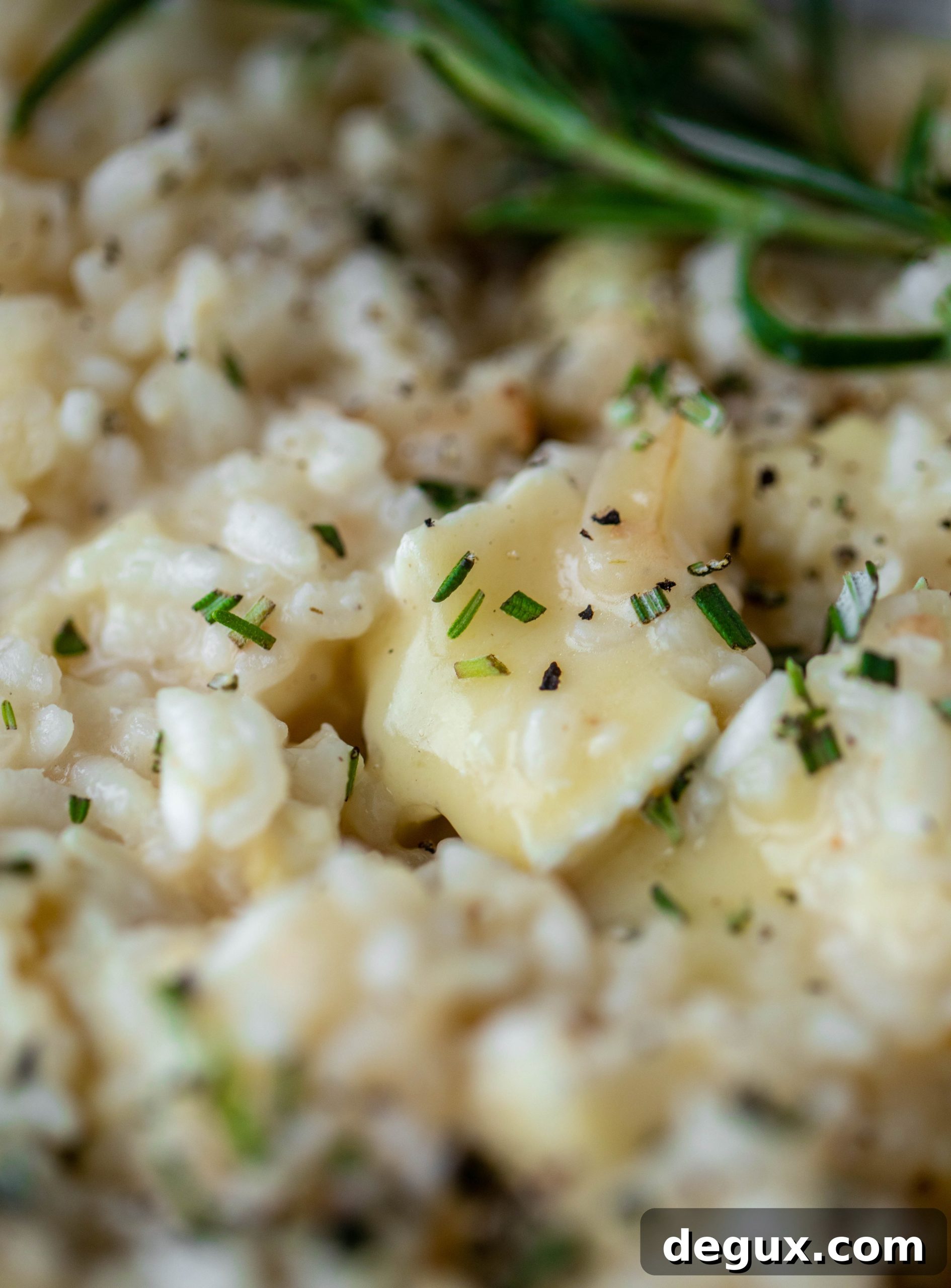This baked risotto is delicious and so much easier than the stovetop version! Toasted cauliflower, brie cheese and rosemary make this taste incredible.