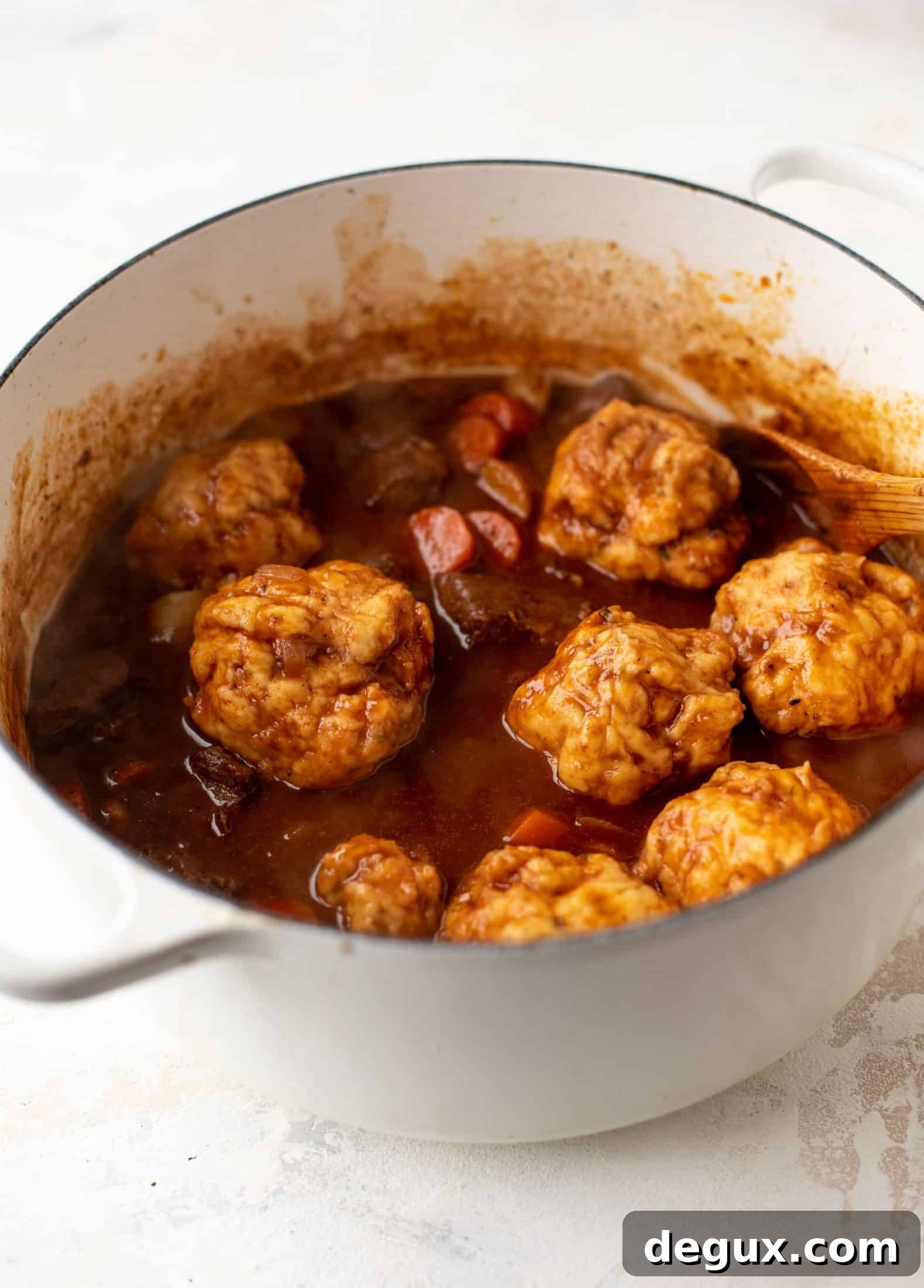 stew dumplings