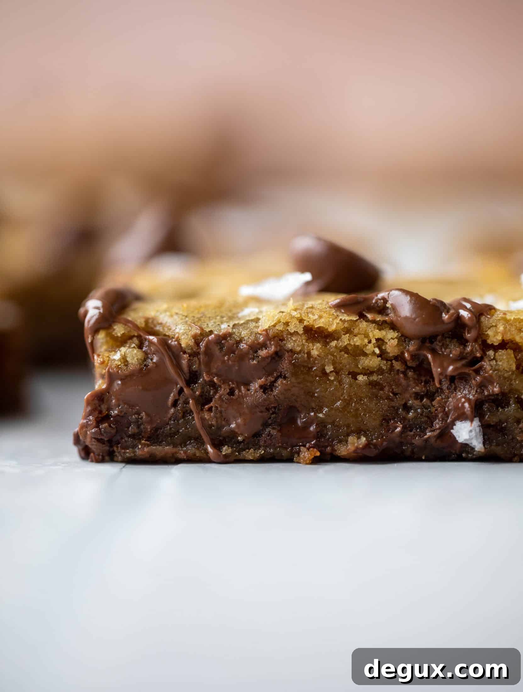 These brown butter chocolate chip cookie bars are chewy, chocolately and sprinkled with flaky salt. What else do you need in life?!