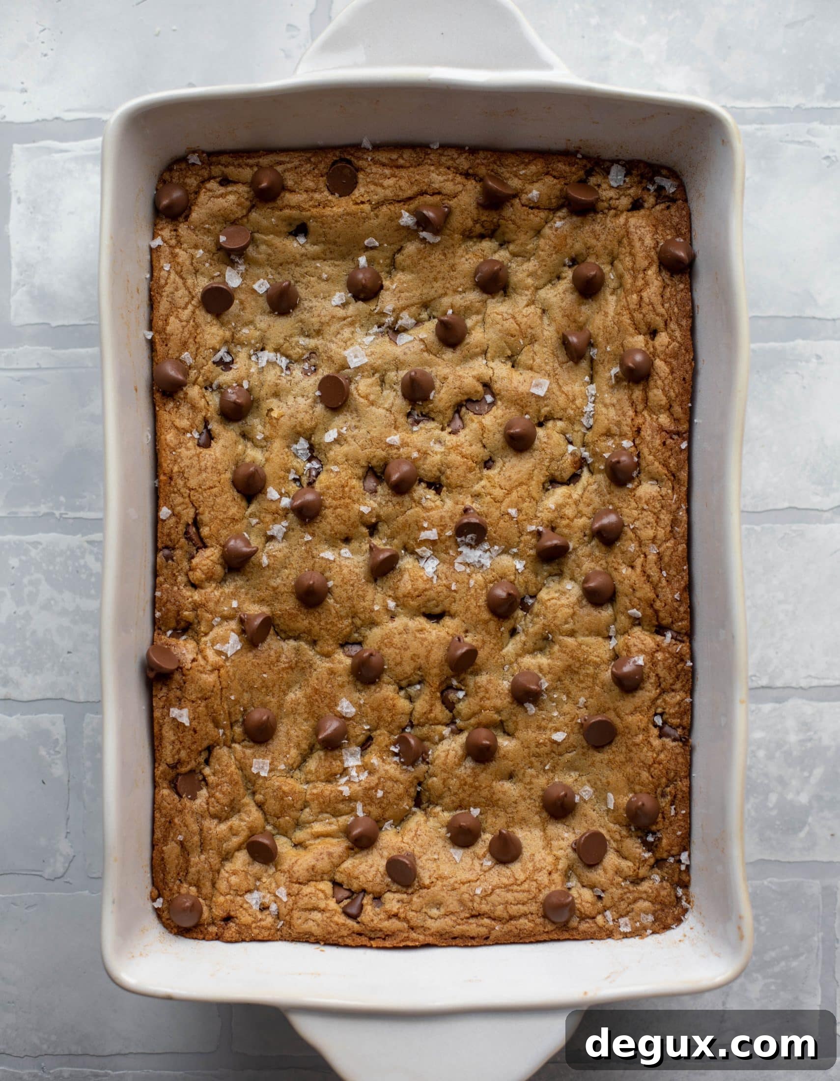 These brown butter chocolate chip cookie bars are chewy, chocolately and sprinkled with flaky salt. What else do you need in life?!
