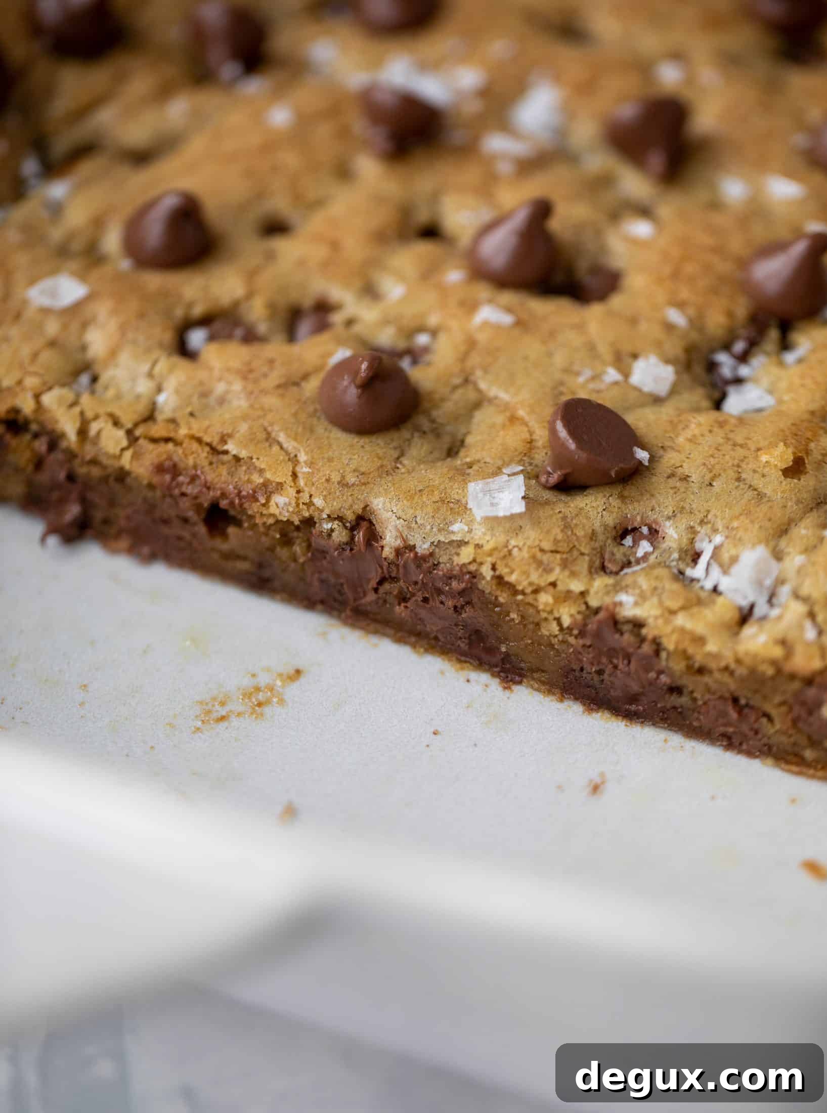 These brown butter chocolate chip cookie bars are chewy, chocolately and sprinkled with flaky salt. What else do you need in life?!