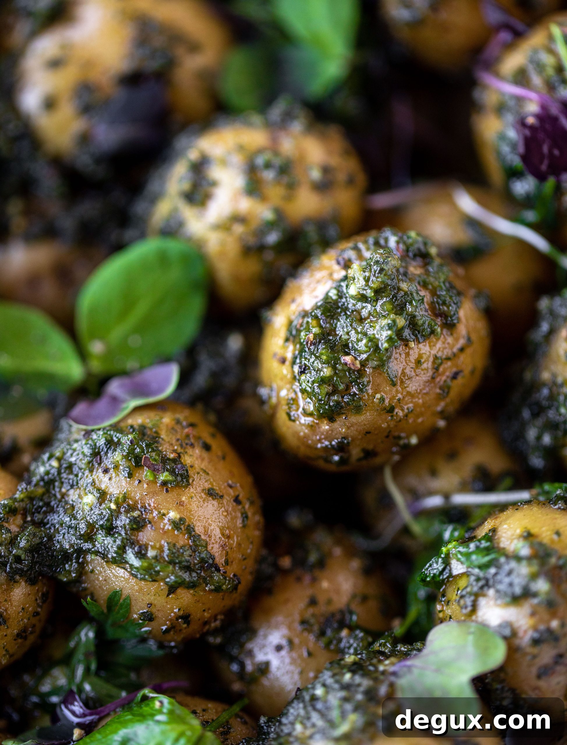 Carrot Top Pesto Potato Salad Recipe — Bright, Herbaceous Side Dish 9 This pesto potato salad is made with carrot top pesto for the perfect spring side dish! Baby potatoes, pesto and greens make up this delish bowl.