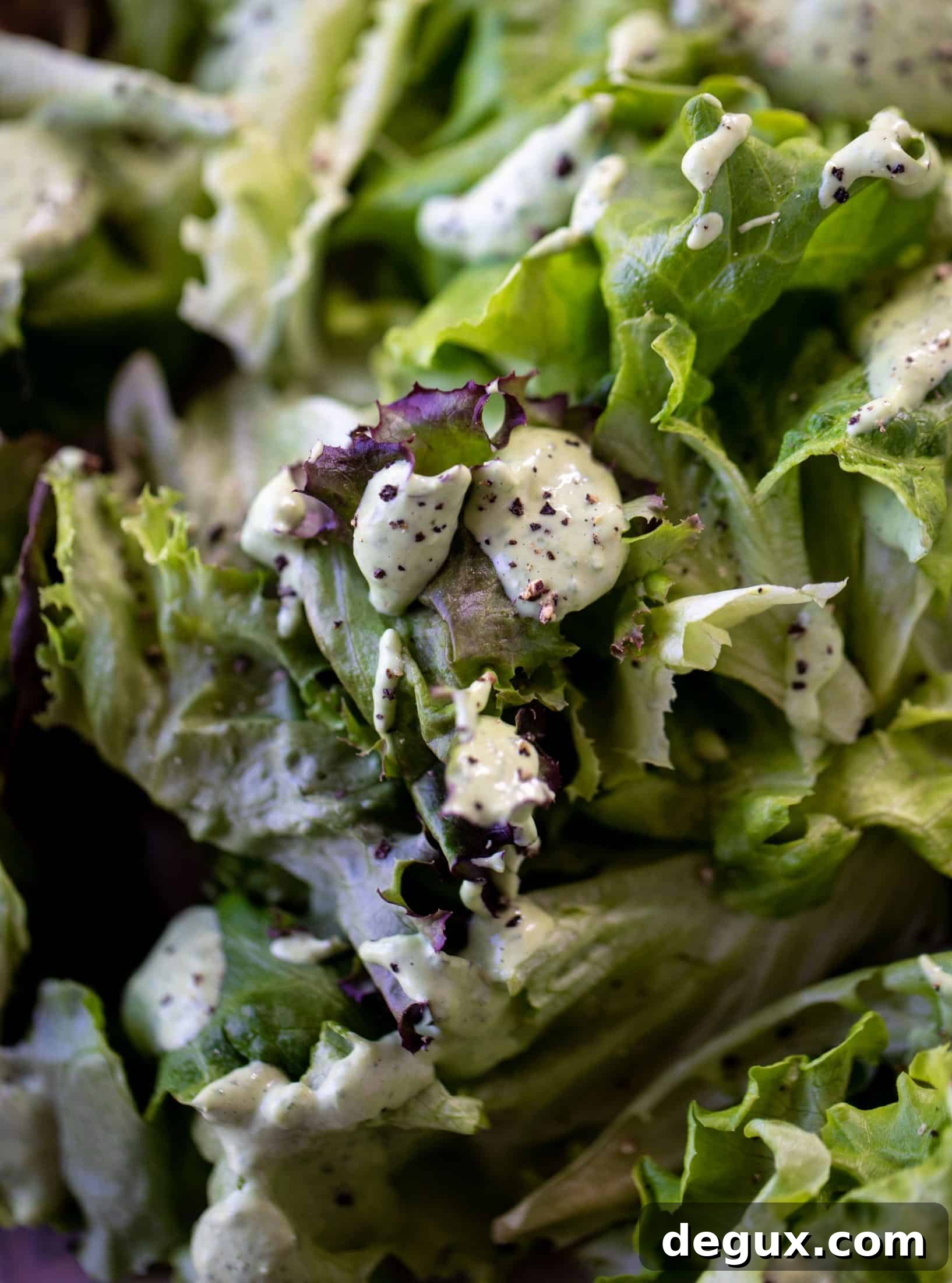 butter lettuce with green goddess sauce