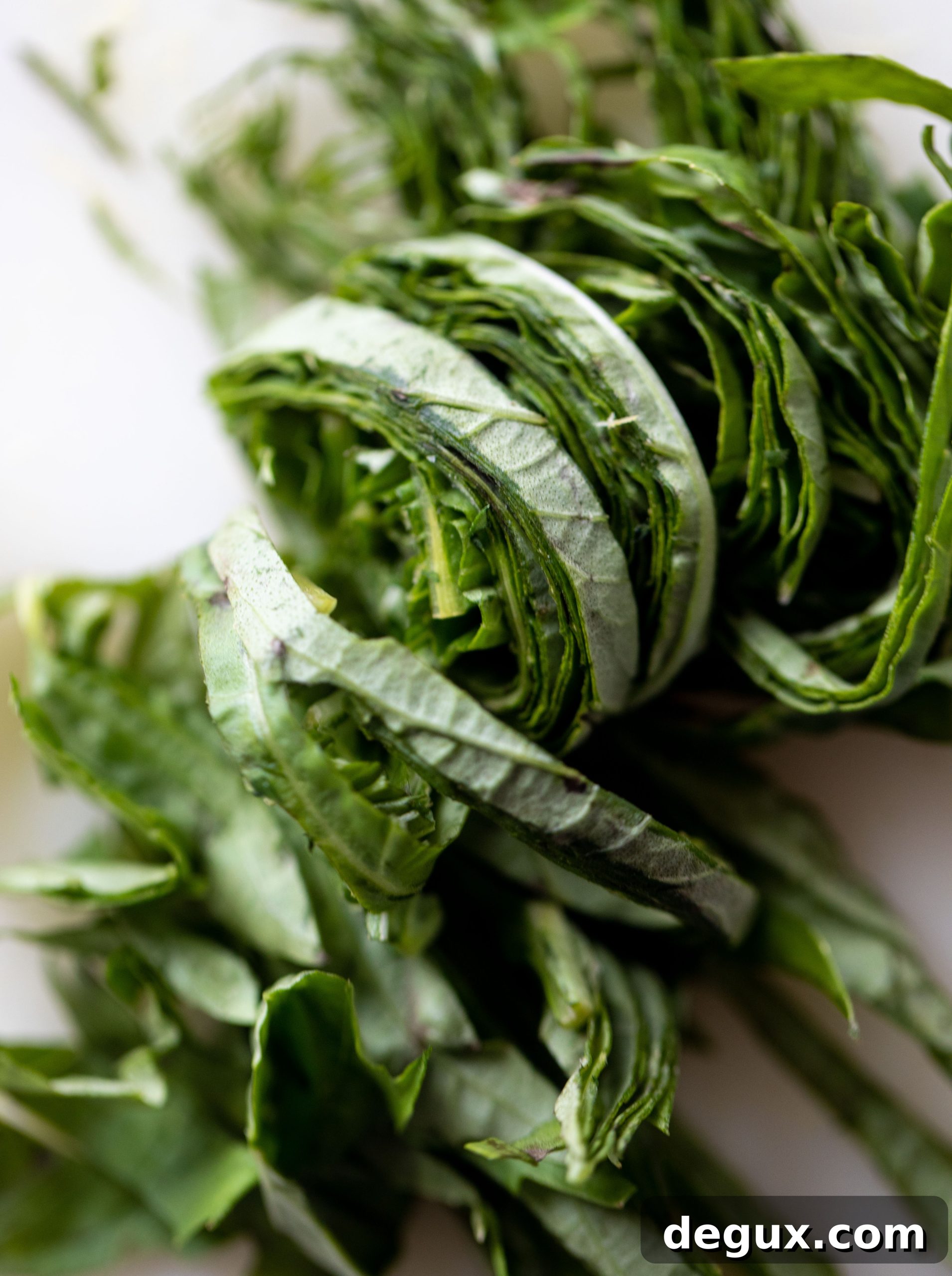 fresh basil