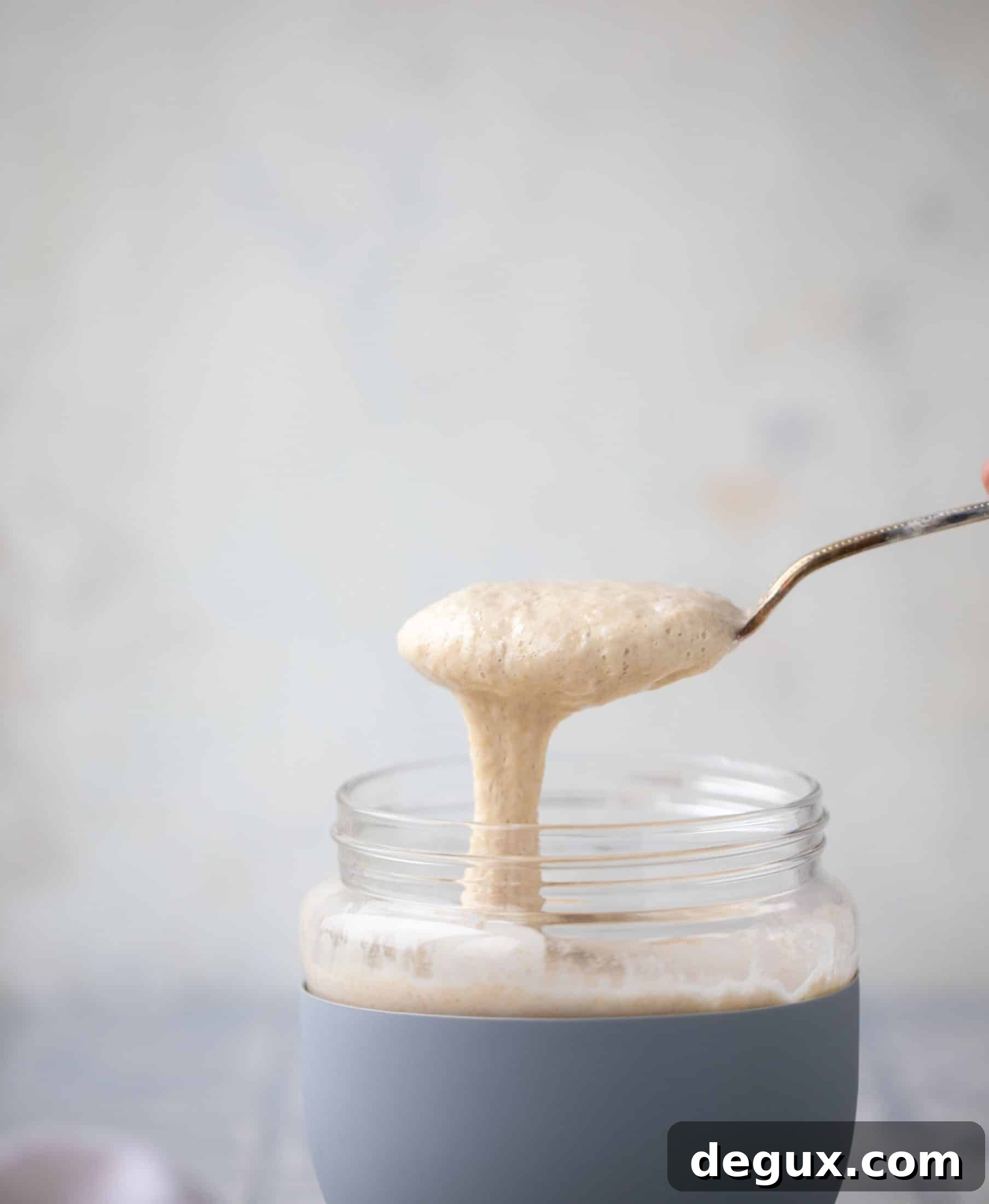 sourdough starter