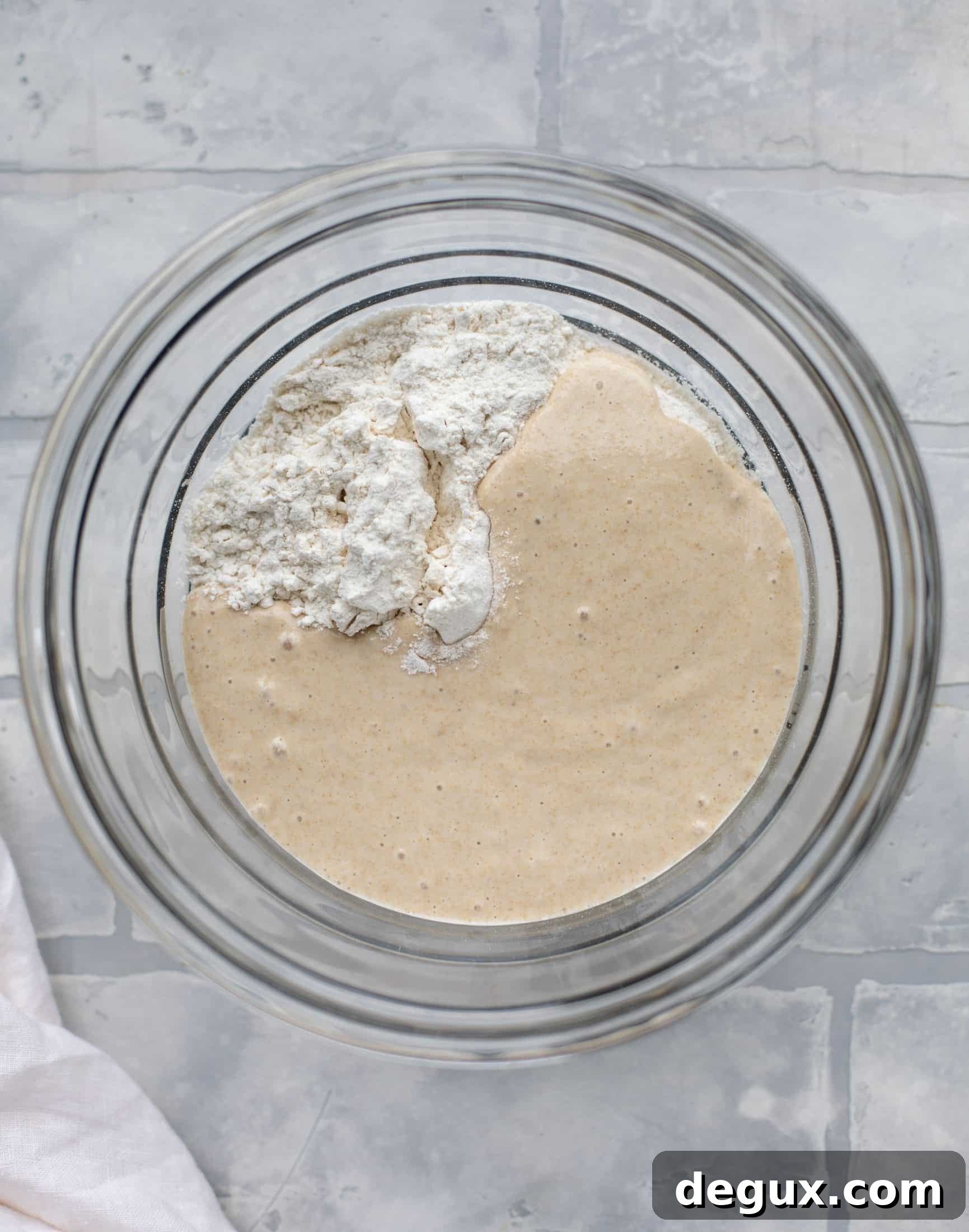 sourdough starter