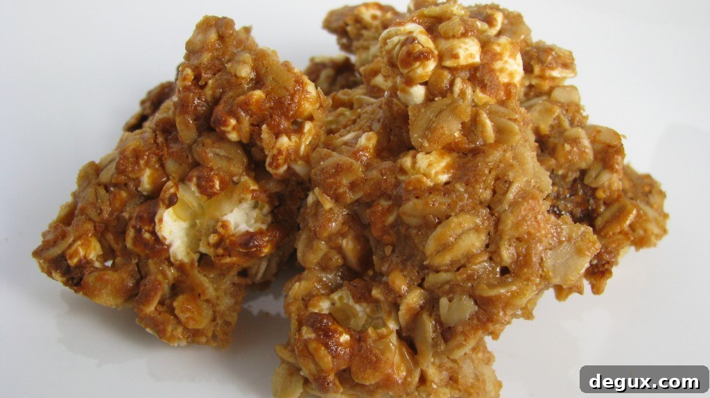 Granola Bars Granola Bars