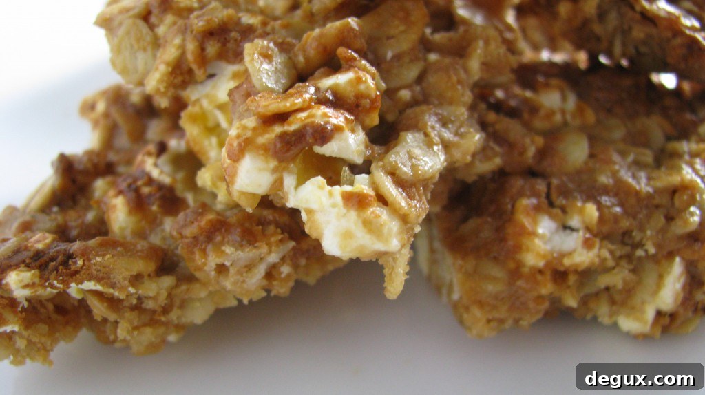 Granola Closeup Granola Closeup