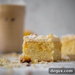 Moist Lemon Crumb Cake Recipe with Zesty Crumble Topping 11 img 65367 10
