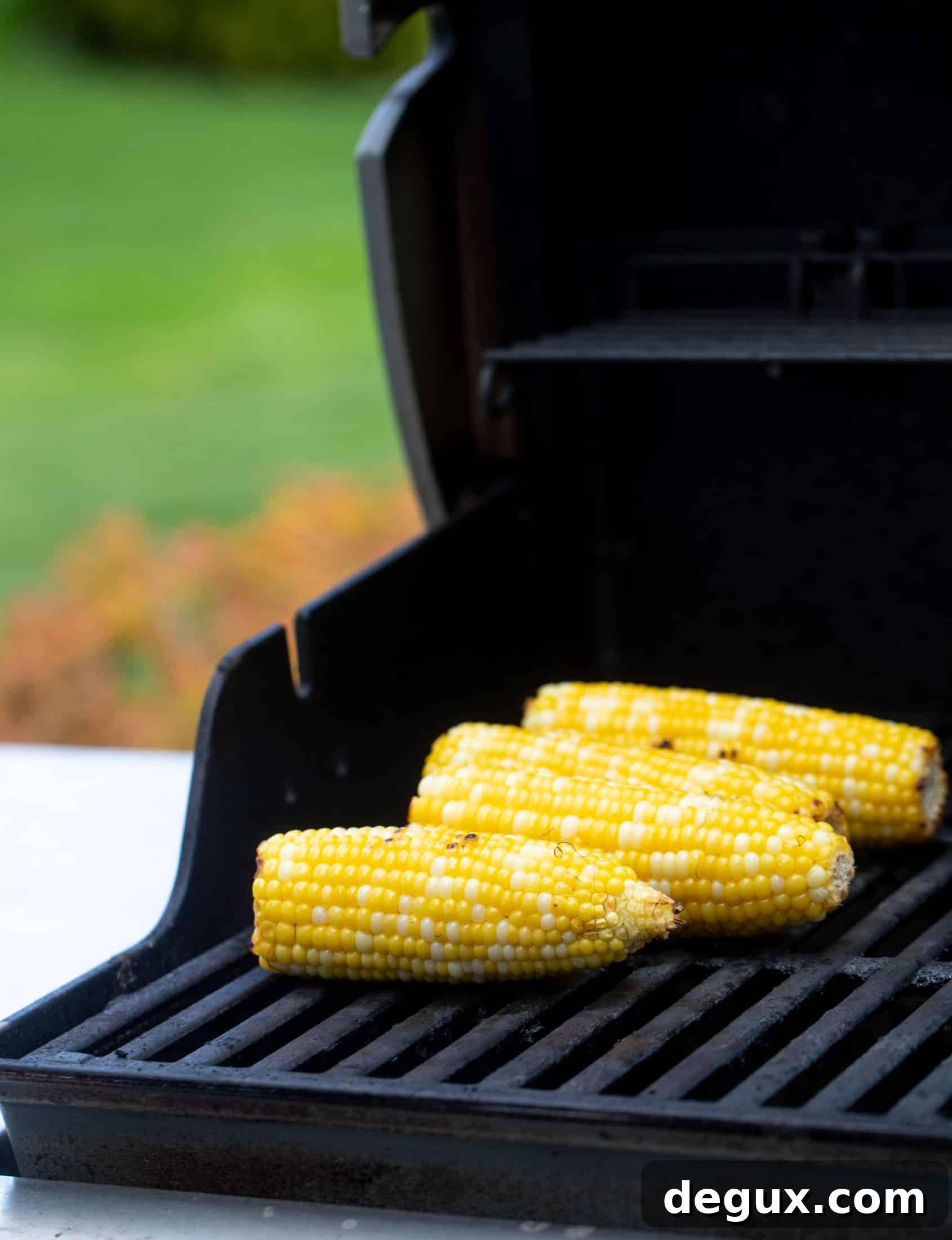 Coffee-Rubbed Strip Steak with Herbed Corn Salsa 5 corn on the cob on the grill