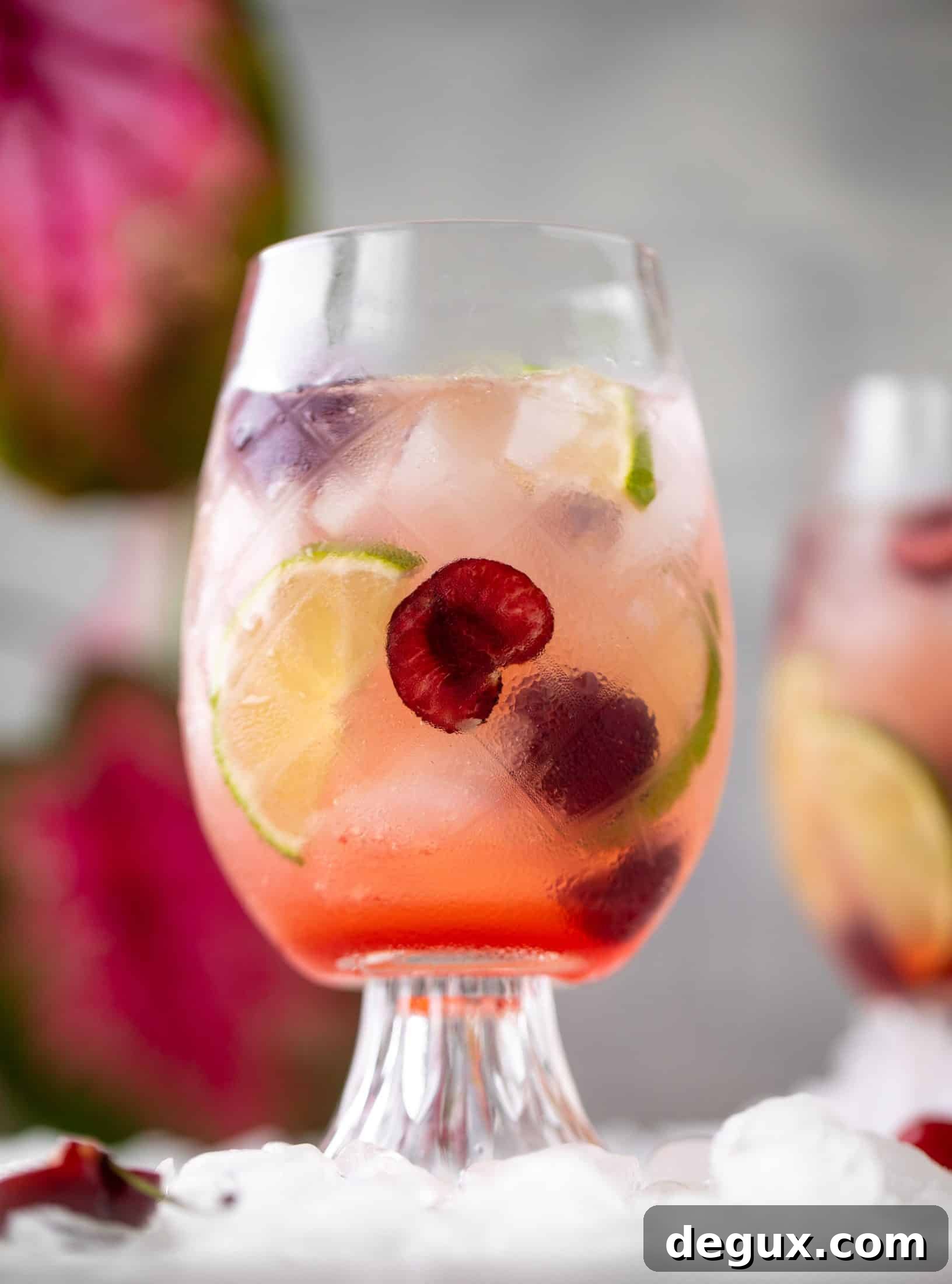 Cherry Lime Gin & Tonic Cocktail Recipe: Refreshing Summer Drink 8 cherry lime gin and tonic