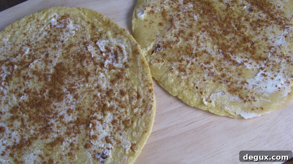 Chocolate peanut butter quesadilla