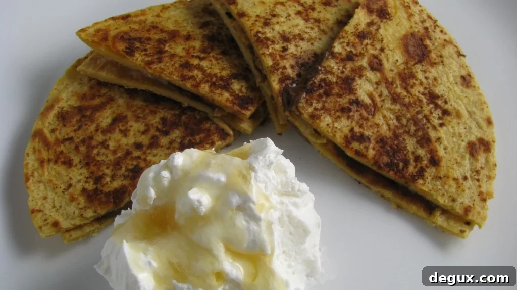 Quesadilla close-up