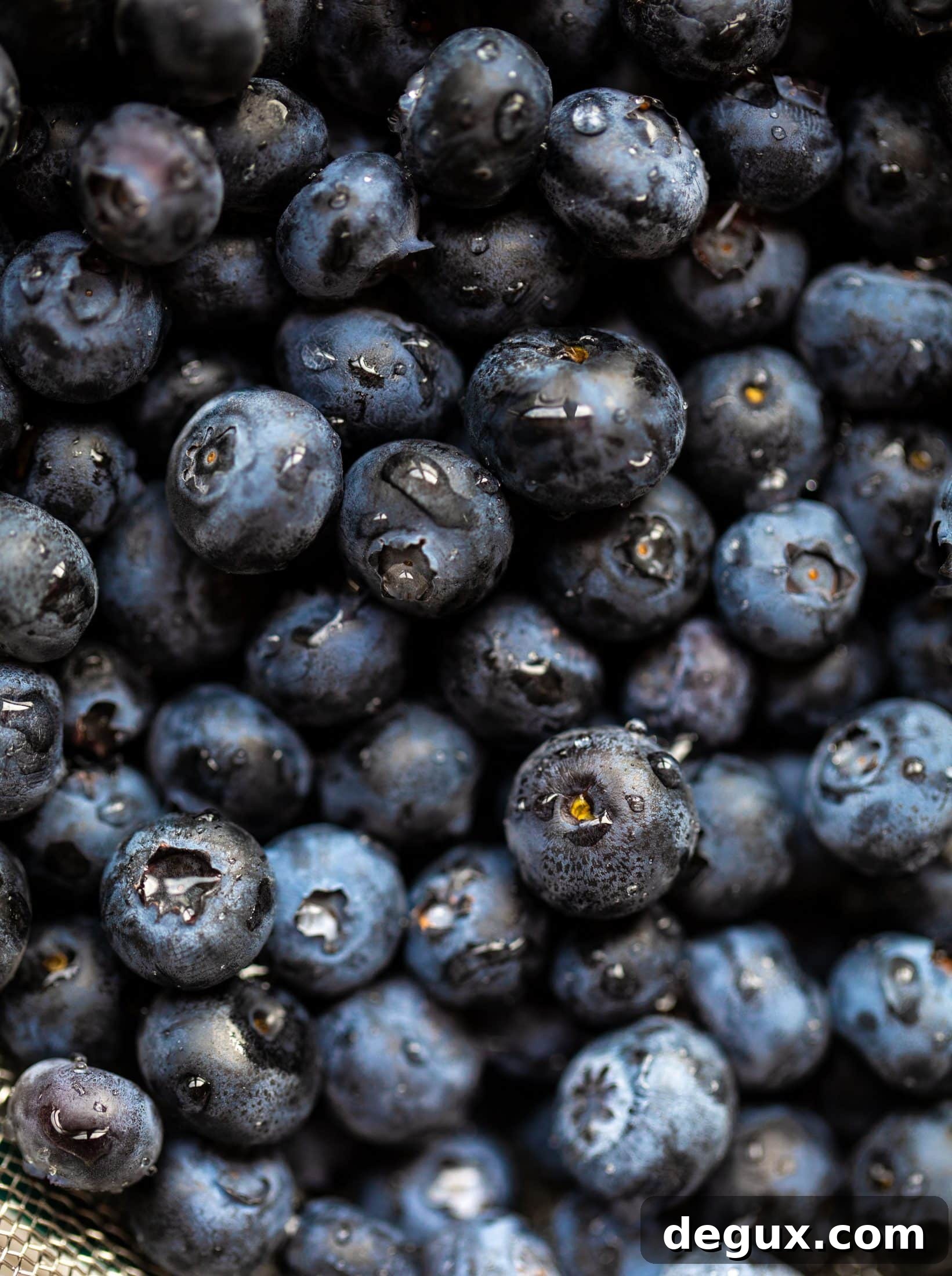 fresh blueberries