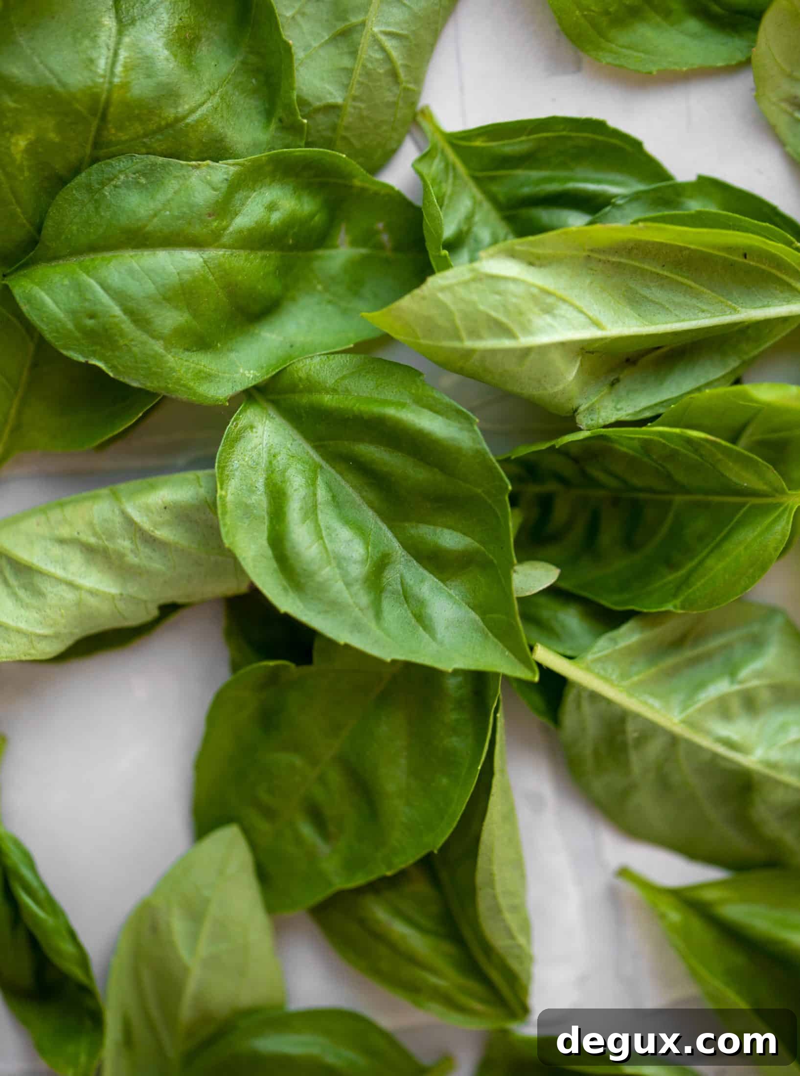 fresh basil leaves