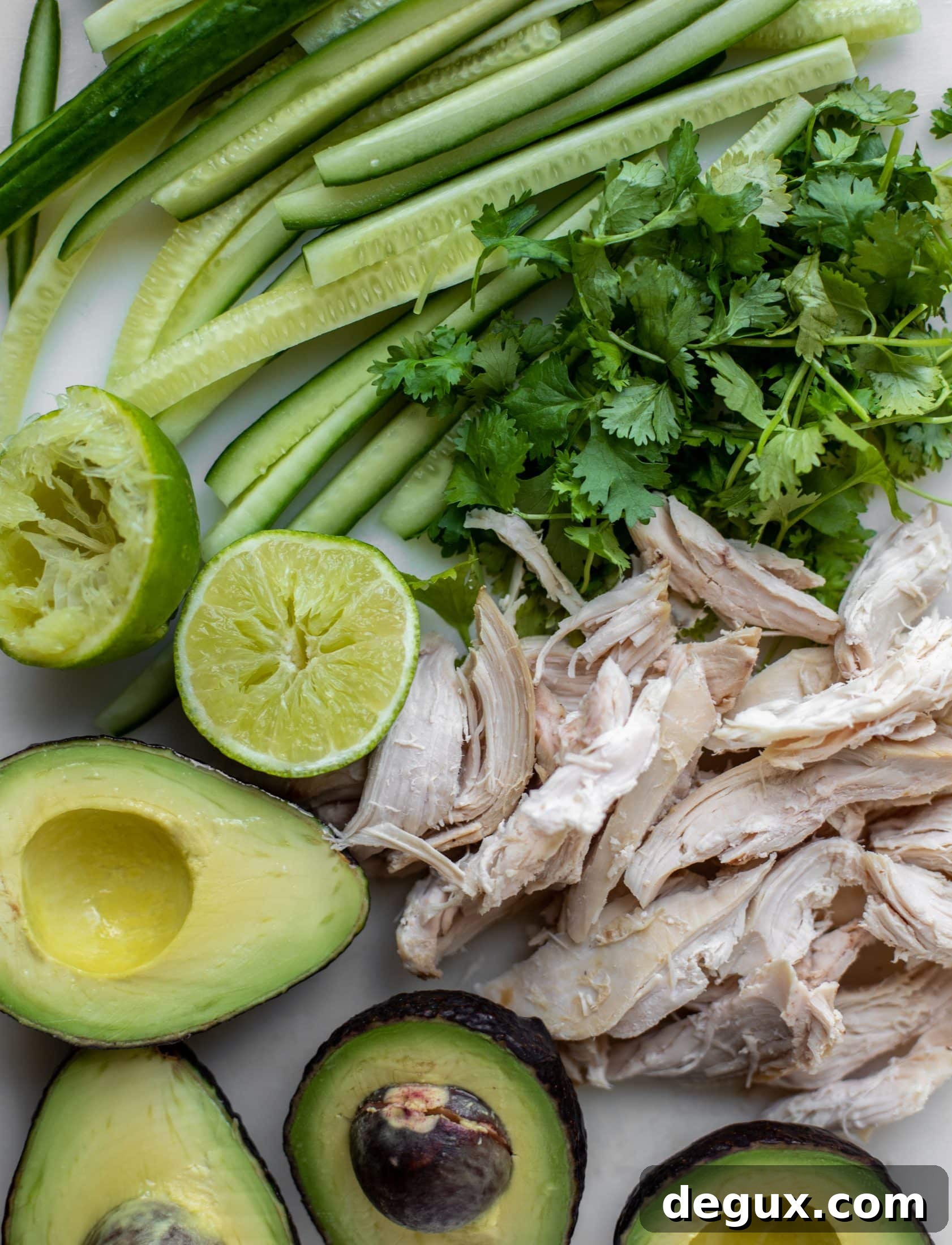 Avocado Chicken Summer Rolls with Coconut-Peanut Dipping Sauce 4 cucumbers, cilantro, chicken, avocado and lime