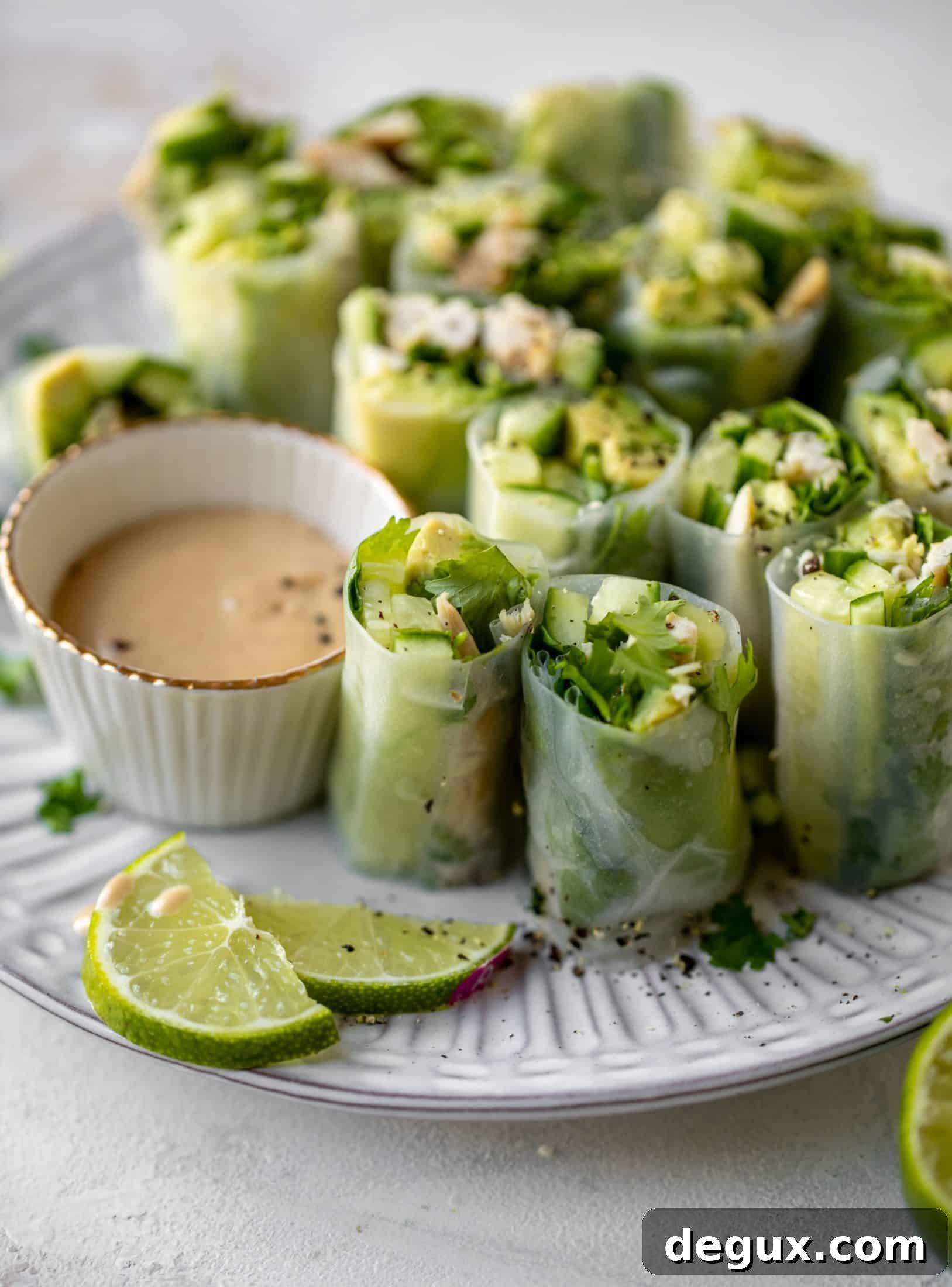 Avocado Chicken Summer Rolls with Coconut-Peanut Dipping Sauce 7 avocado chicken summer rolls