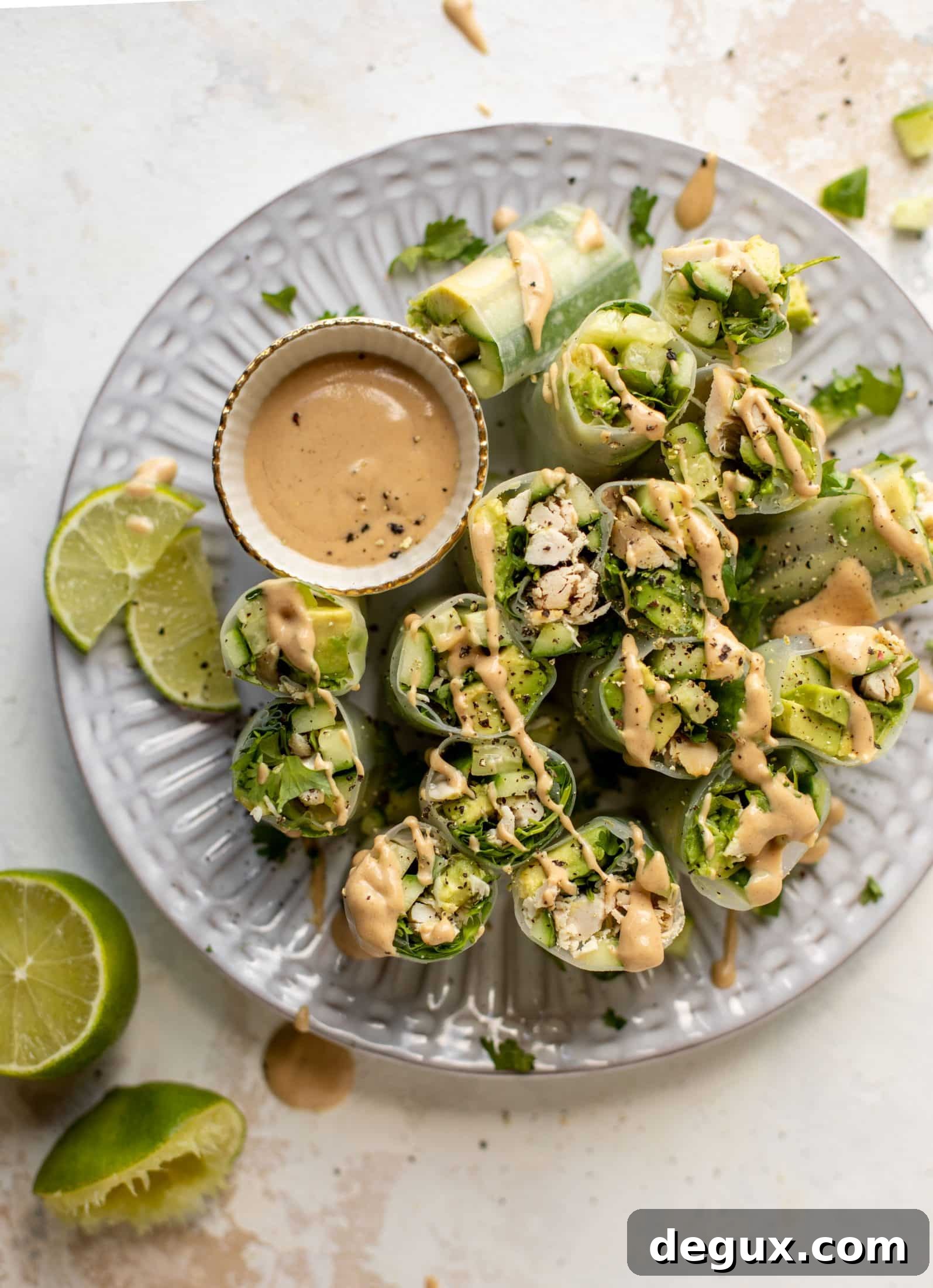 Avocado Chicken Summer Rolls with Coconut-Peanut Dipping Sauce 8 avocado summer rolls with peanut coconut dipping sauce