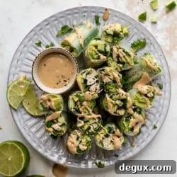 Avocado Chicken Summer Rolls with Coconut-Peanut Dipping Sauce 9 img 67049 9