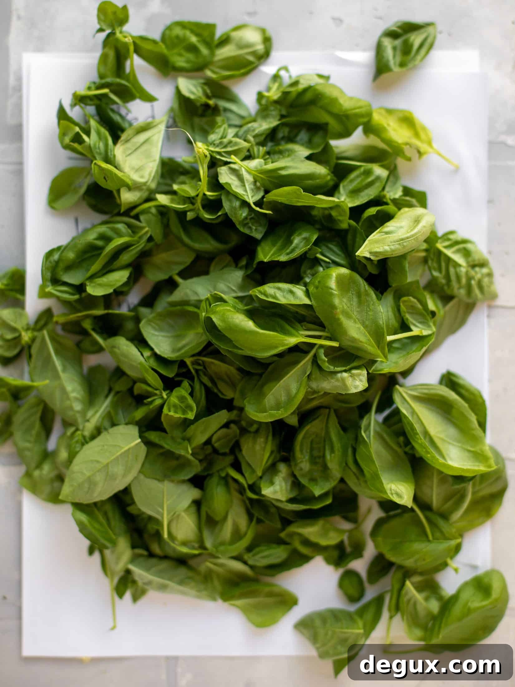 fresh basil leaves