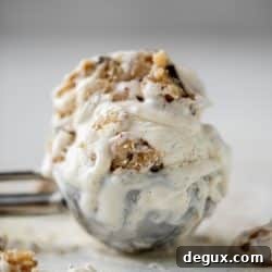 Salted Chocolate Chip Cookie Dough No-Churn Ice Cream 10 img 67594 9