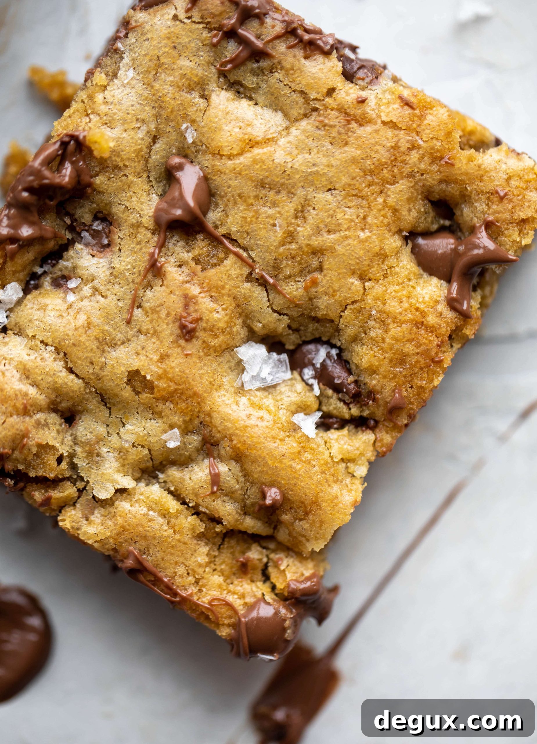 Salted Brown Butter Chocolate Chip Cookie Bars