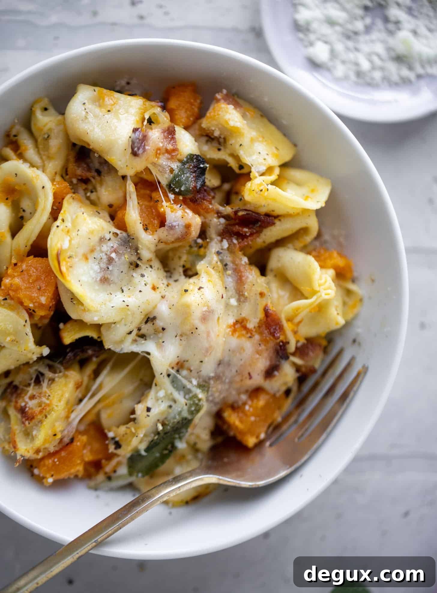 harvest tortellini skillet with butternut squash and sage