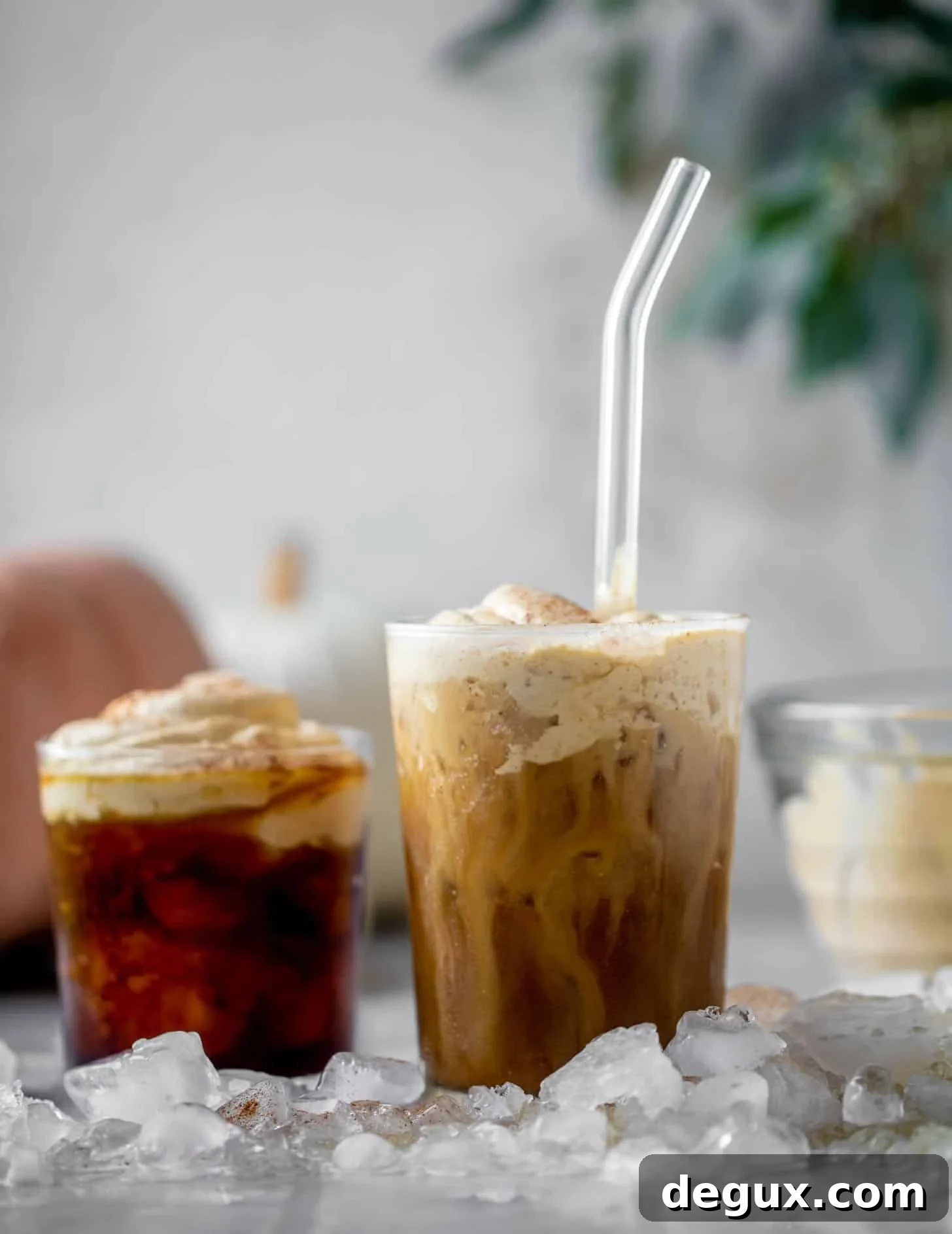 pumpkin coconut cream cold brew