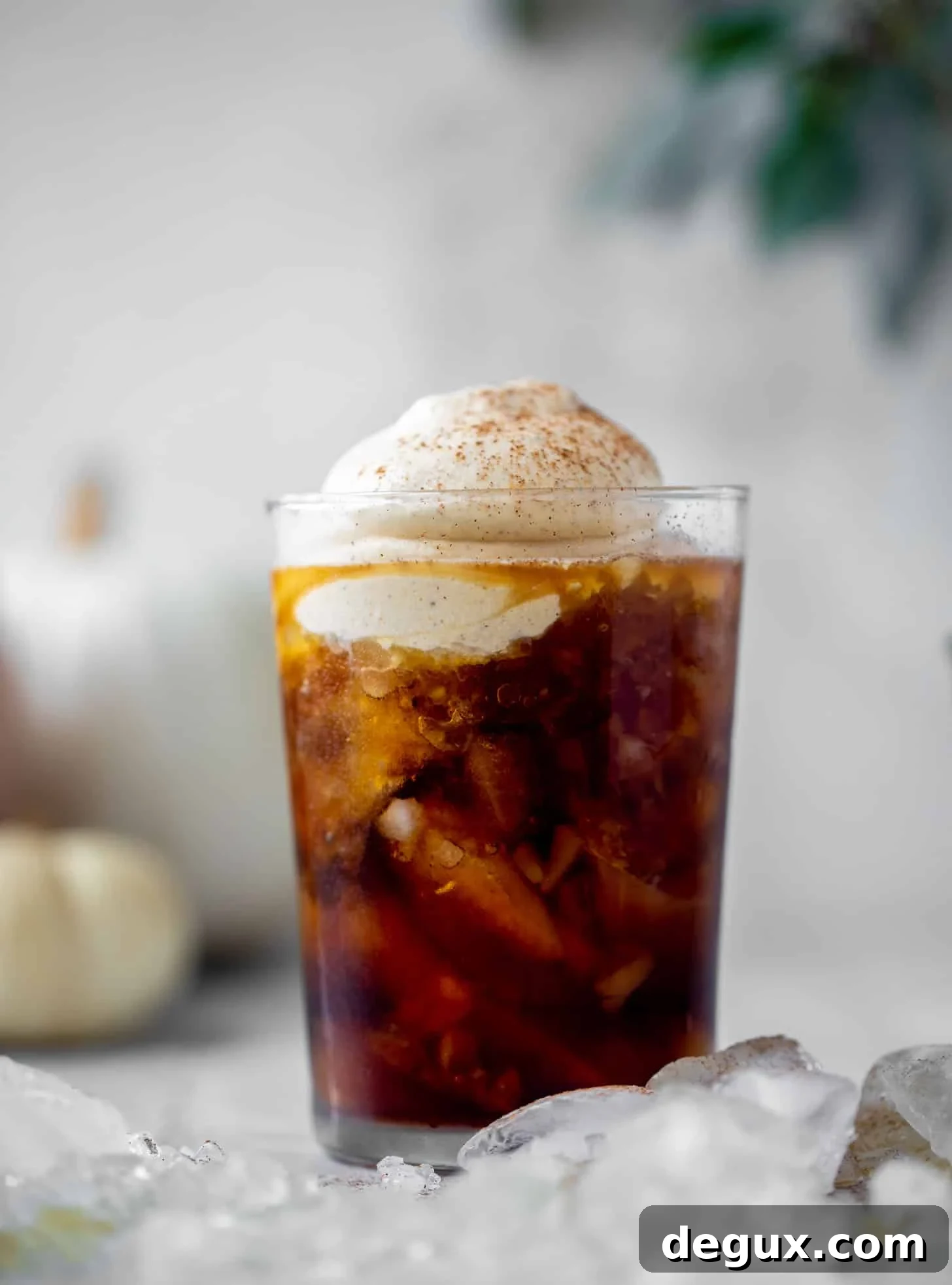 pumpkin coconut cream cold brew