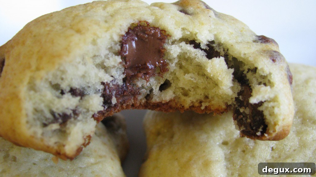 Banana Chocolate Chip Cookies