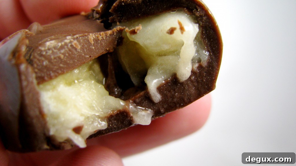 Chocolate Banana Bites