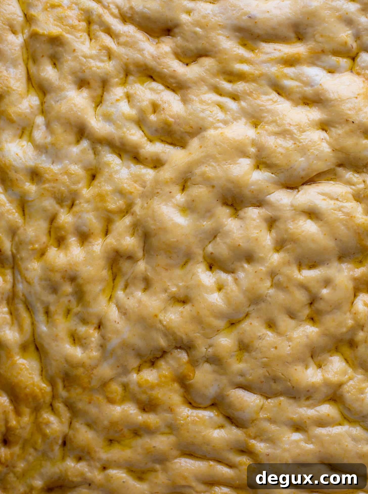 pumpkin focaccia dough