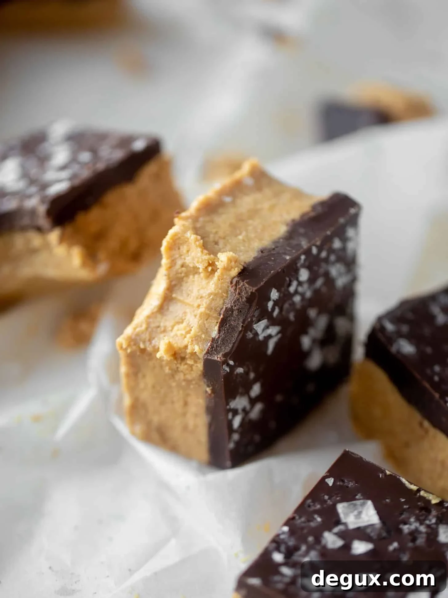 Salted Peanut Butter Cup Bar Recipe — Chewy Chocolate-Peanut Bars 2 salted chocolate peanut butter bars