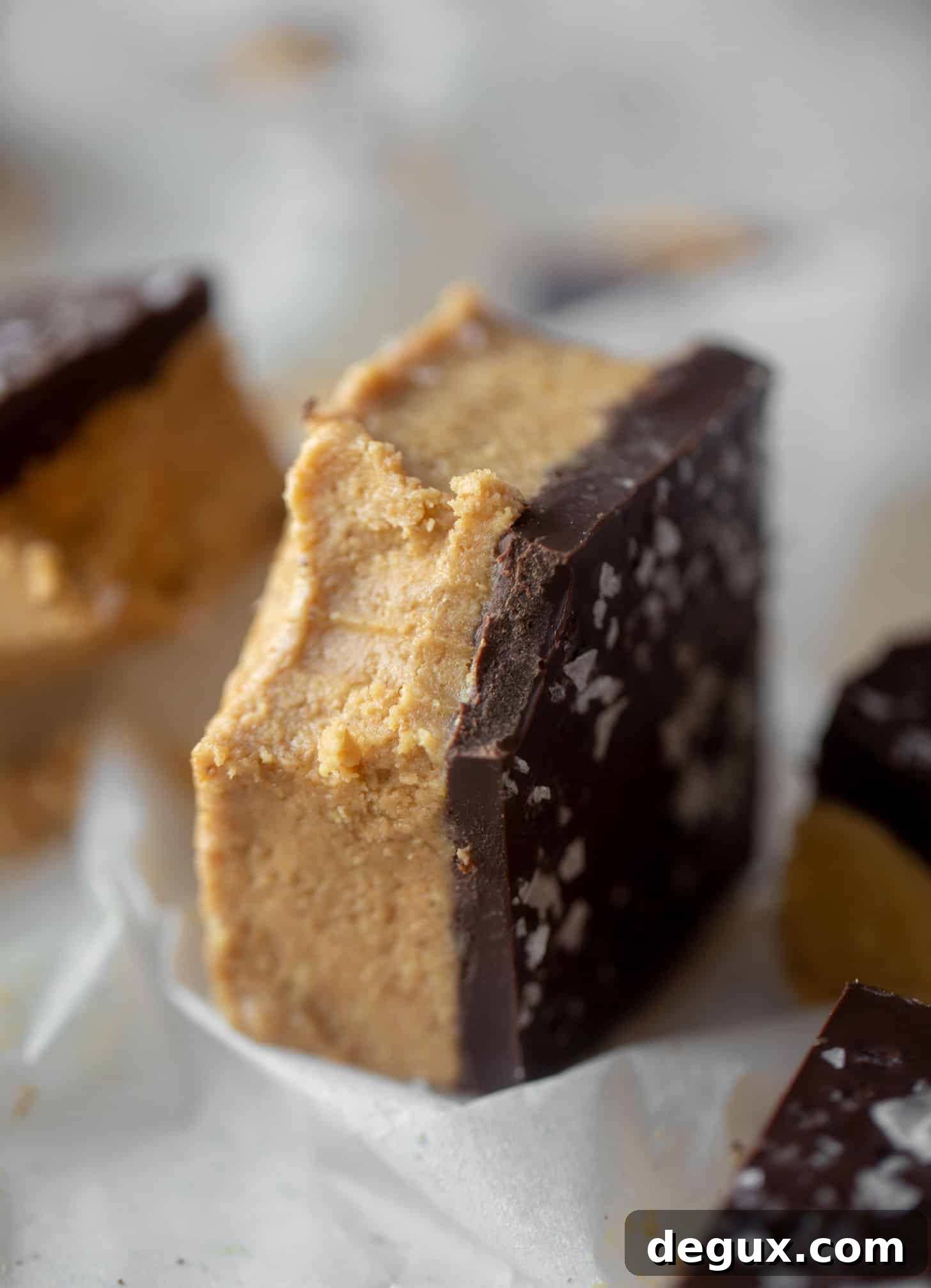 Salted Peanut Butter Cup Bar Recipe — Chewy Chocolate-Peanut Bars 10 salted peanut butter cup bars