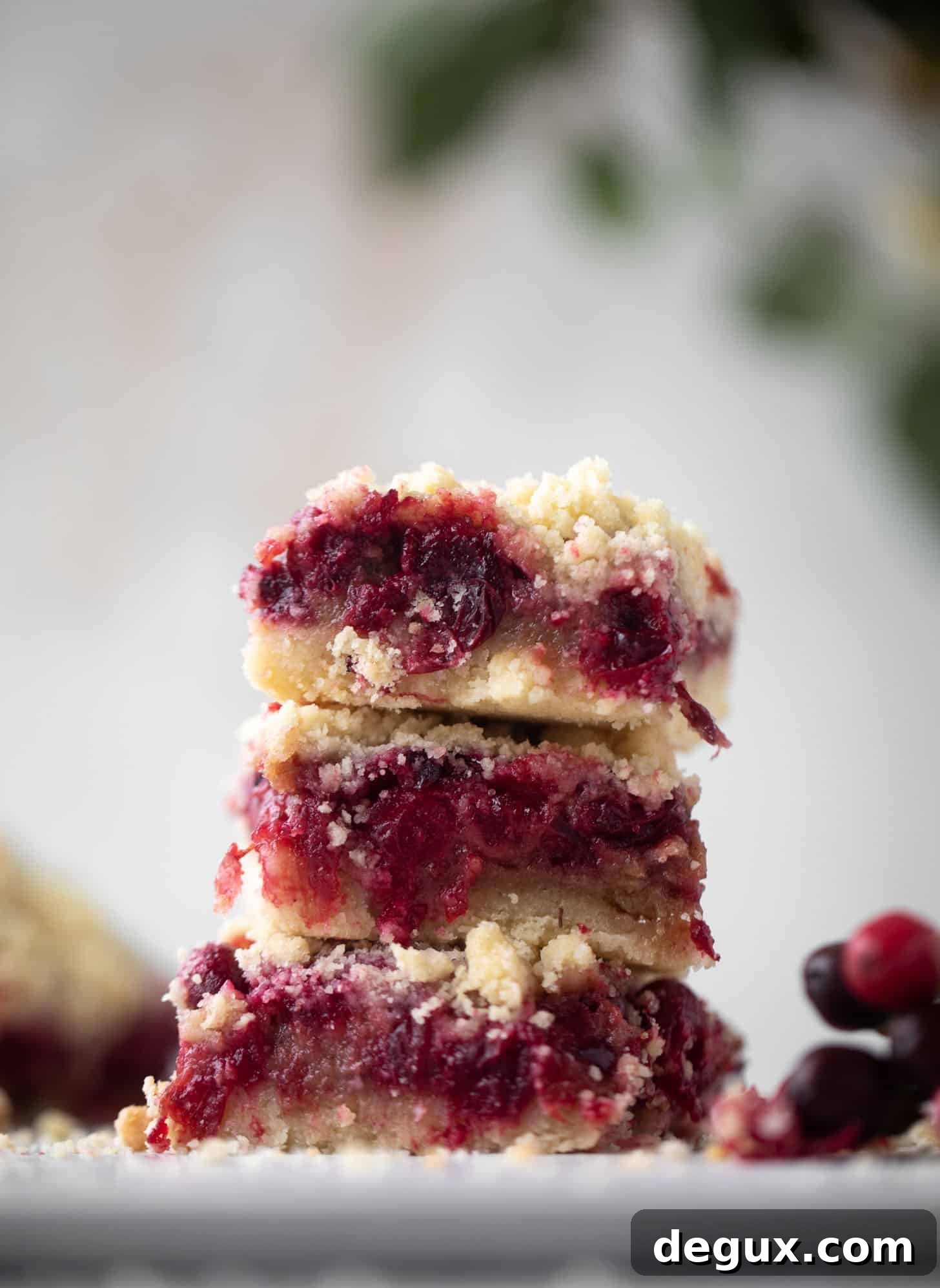 Cranberry Cobbler Bars Recipe: Chewy-Topped Holiday Dessert 11 cranberry cobbler bars