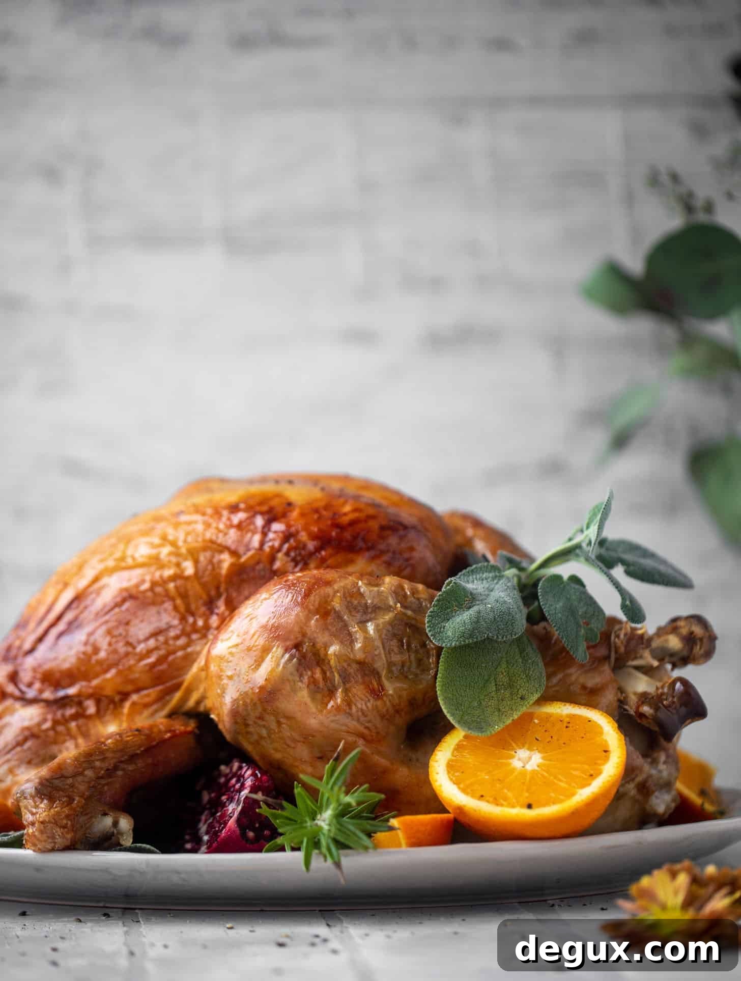 citrus sage roasted turkey recipe