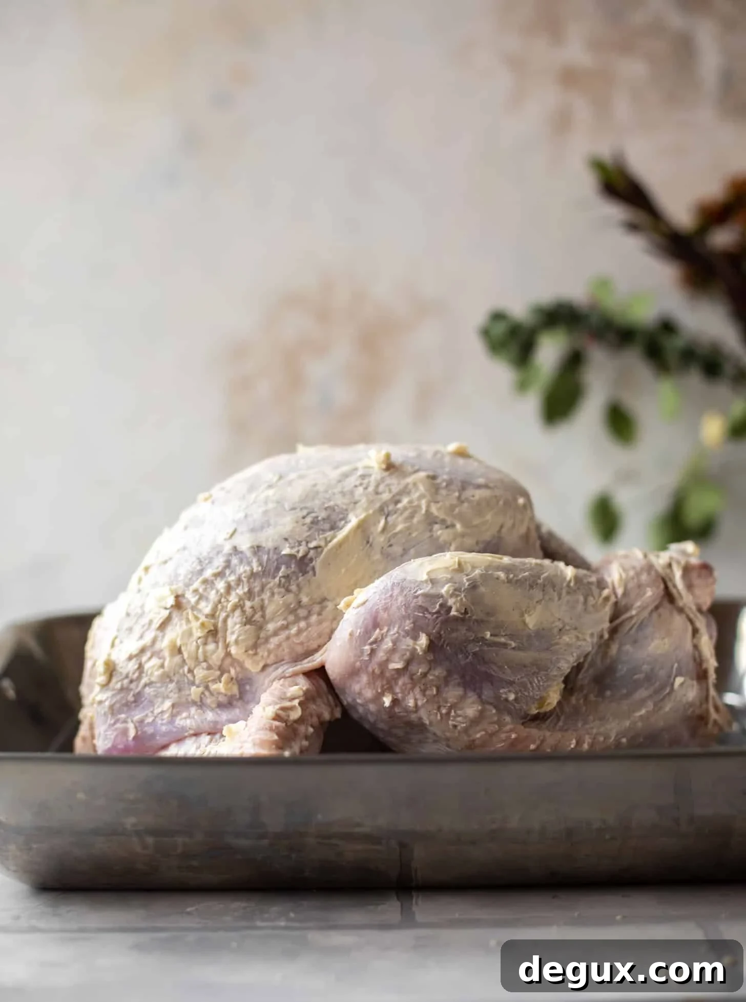 turkey rubbed with butter in a roasting pan