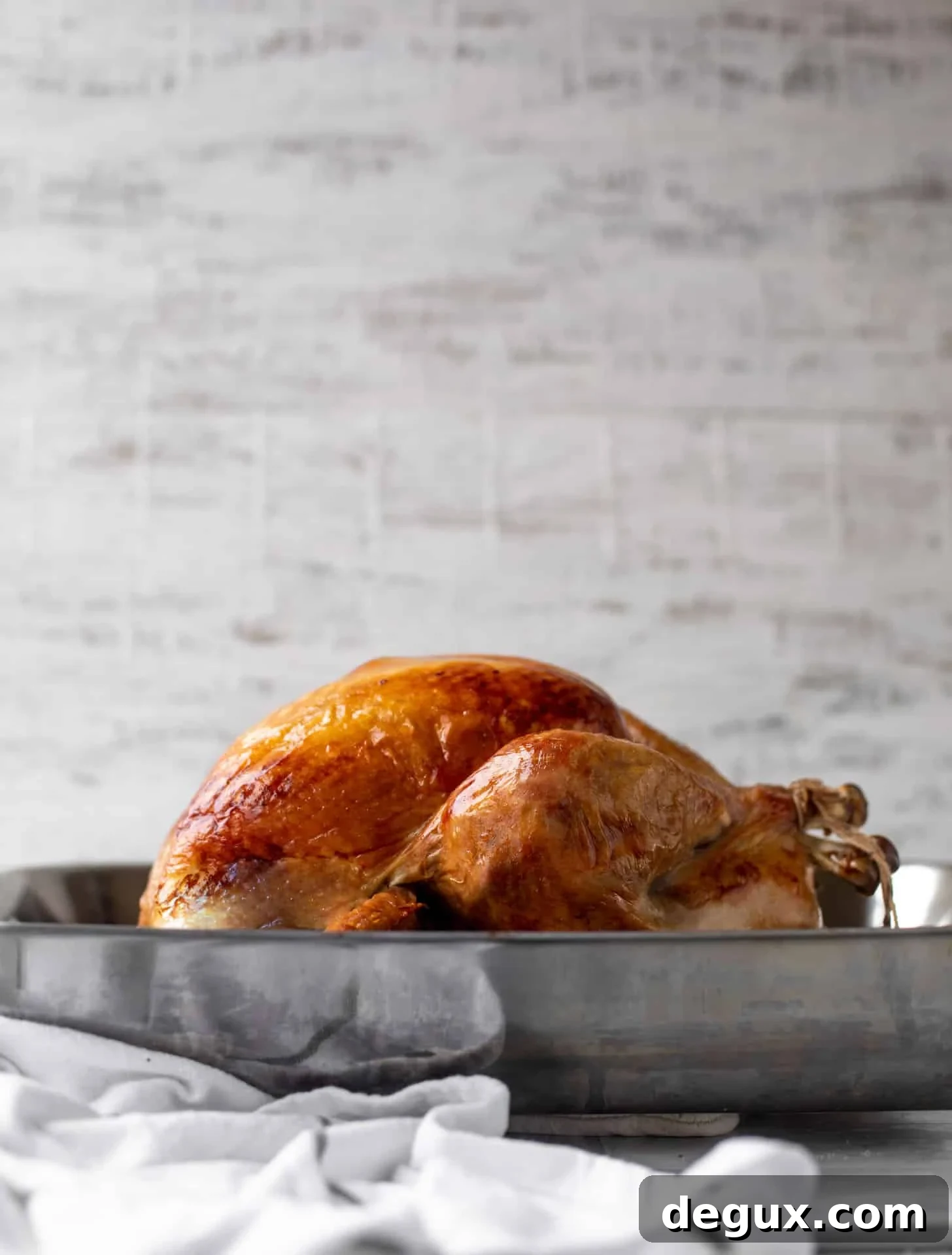 roasted turkey in a roasting pan