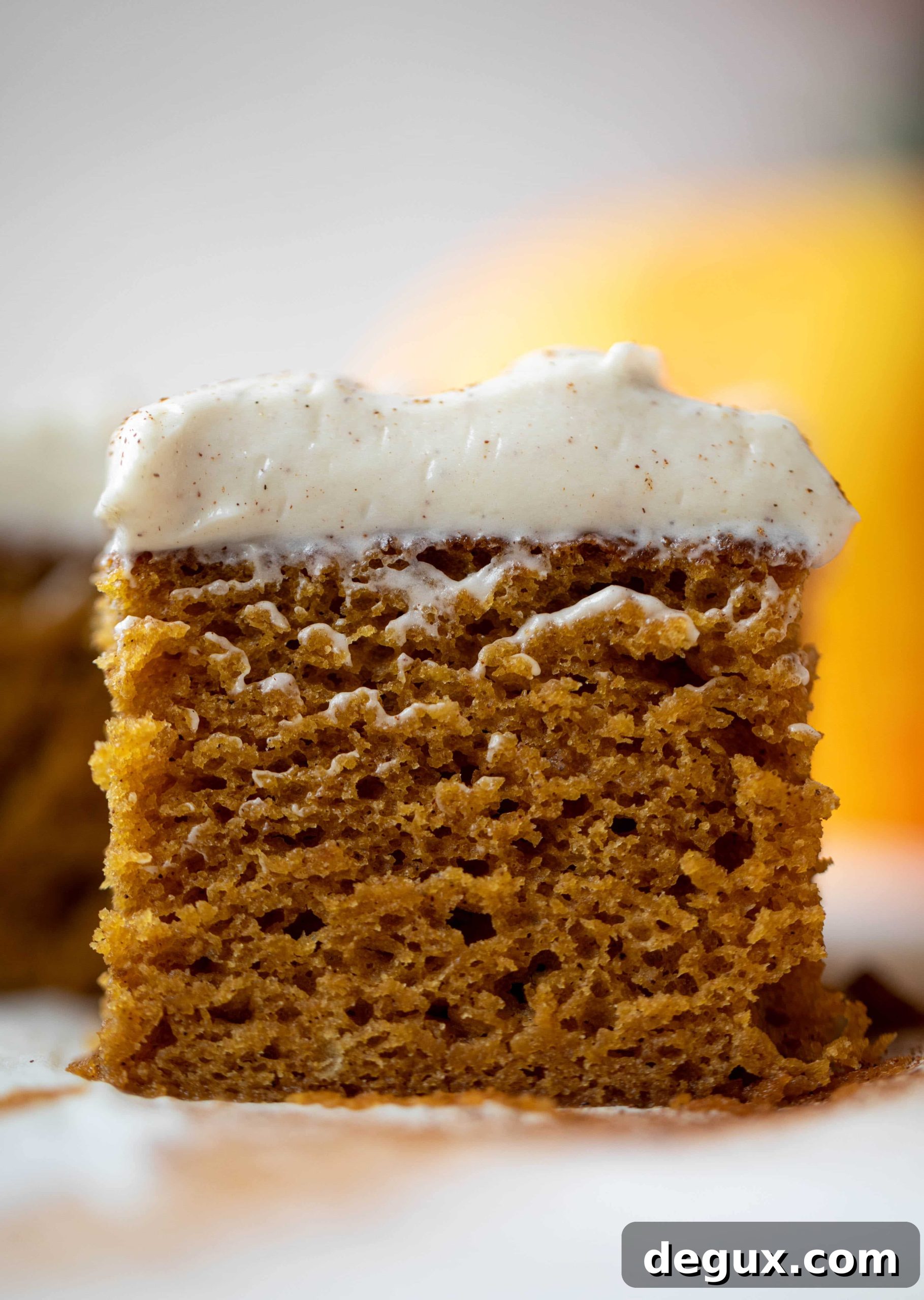 img 69557 58 scaled